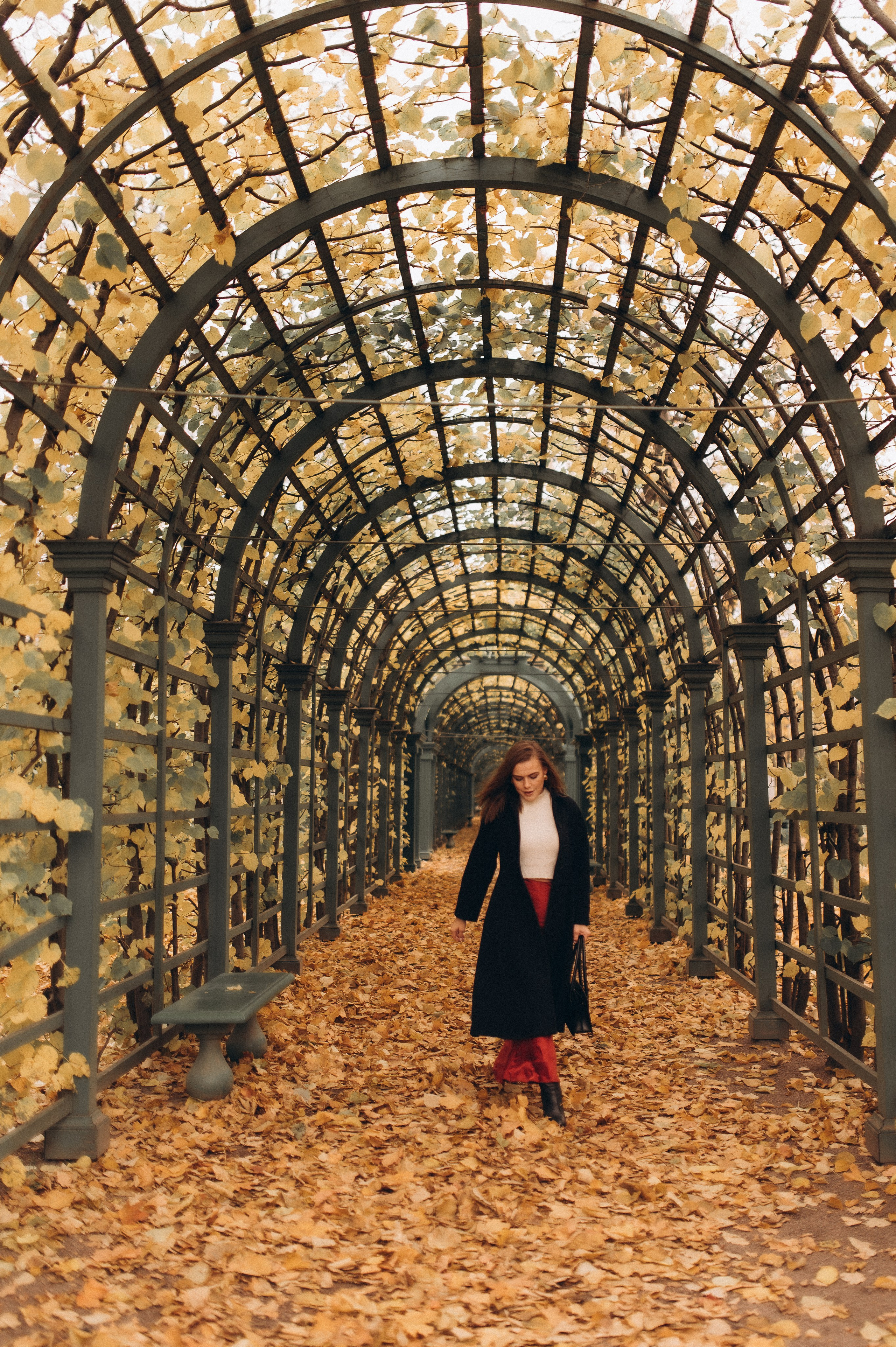Осенняя индивидуальная фотопрогулка летний сад. Фотограф ПИТЕР СПБ Надежда Баранова