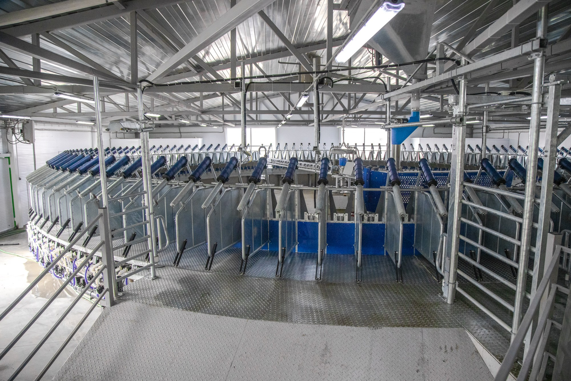 Открытие карусели для дойки скота. Репортажный, промышленный и маркетплейс-фотограф Дмитрий Чернат