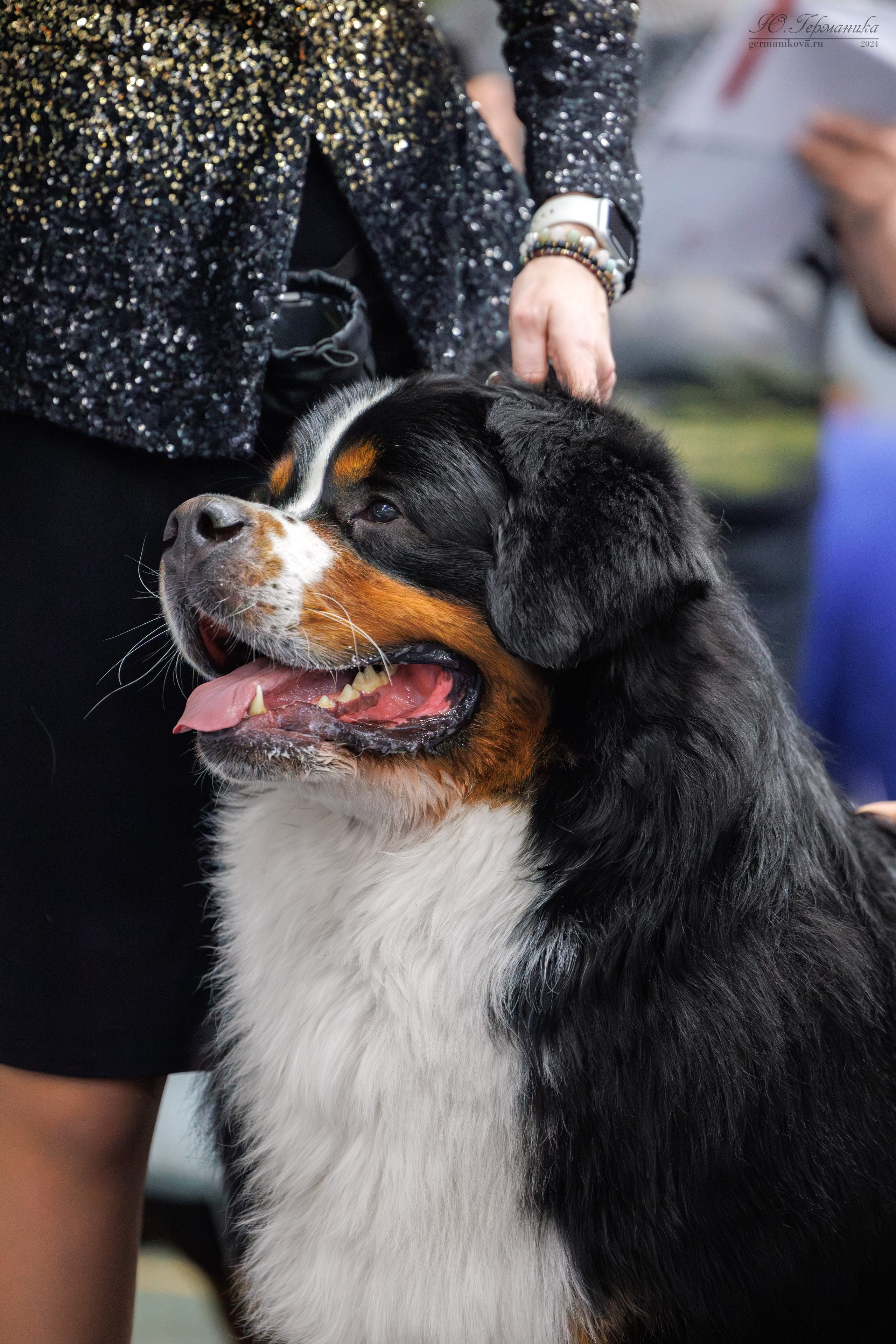 Сфера и Крокус 8,9,16 и 30.03.2025. Фотограф-анималист Юлия Германика