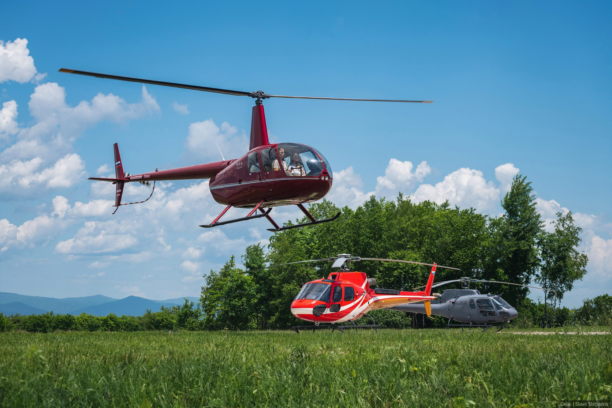 Аваиция. Фотограф Слава Степанов, Gelio