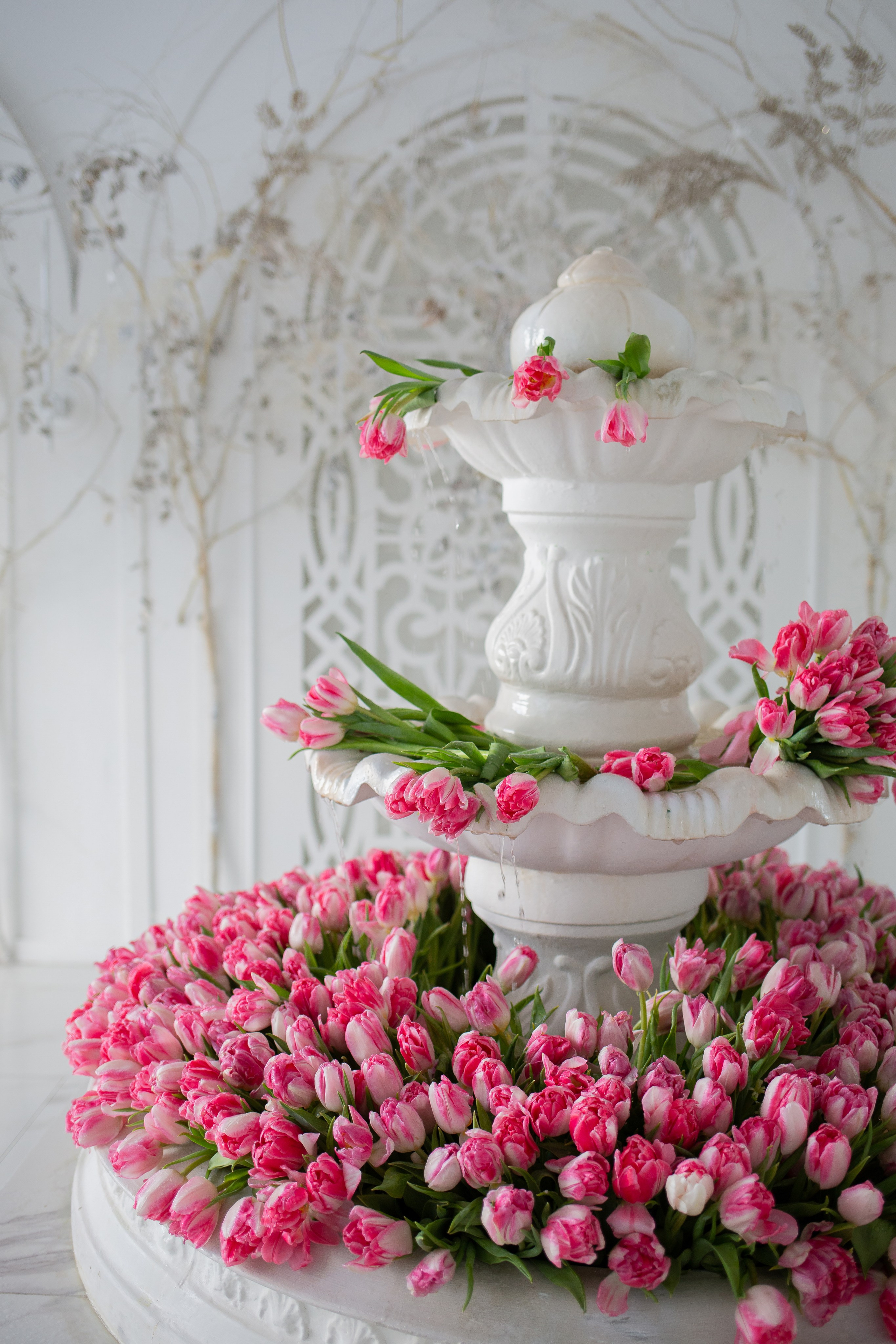 Жанна. Семейный фотограф Николаева Ольга