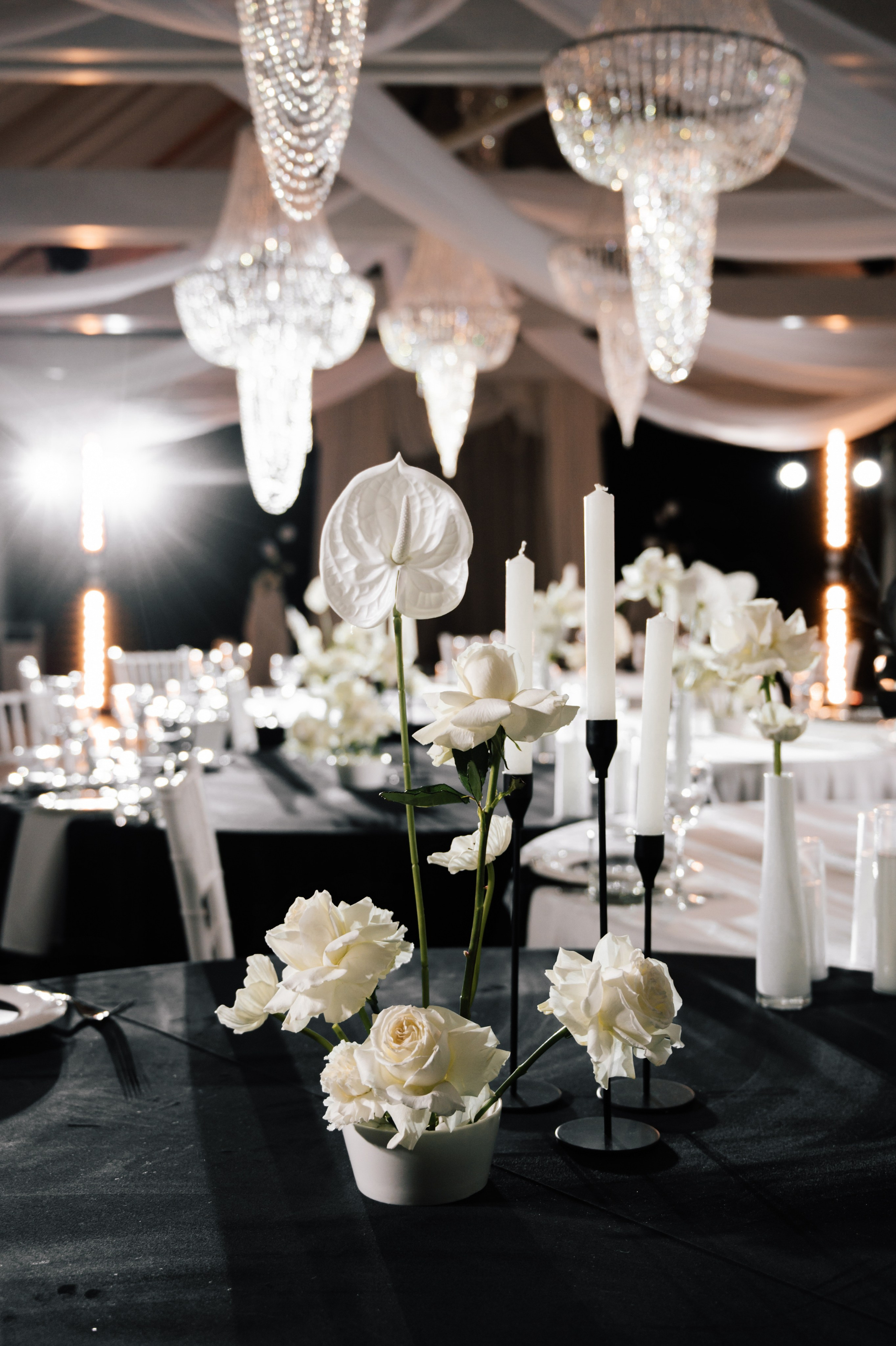 Sabina and Dmitry. Свадебный и семейный фотограф Вероника Холод