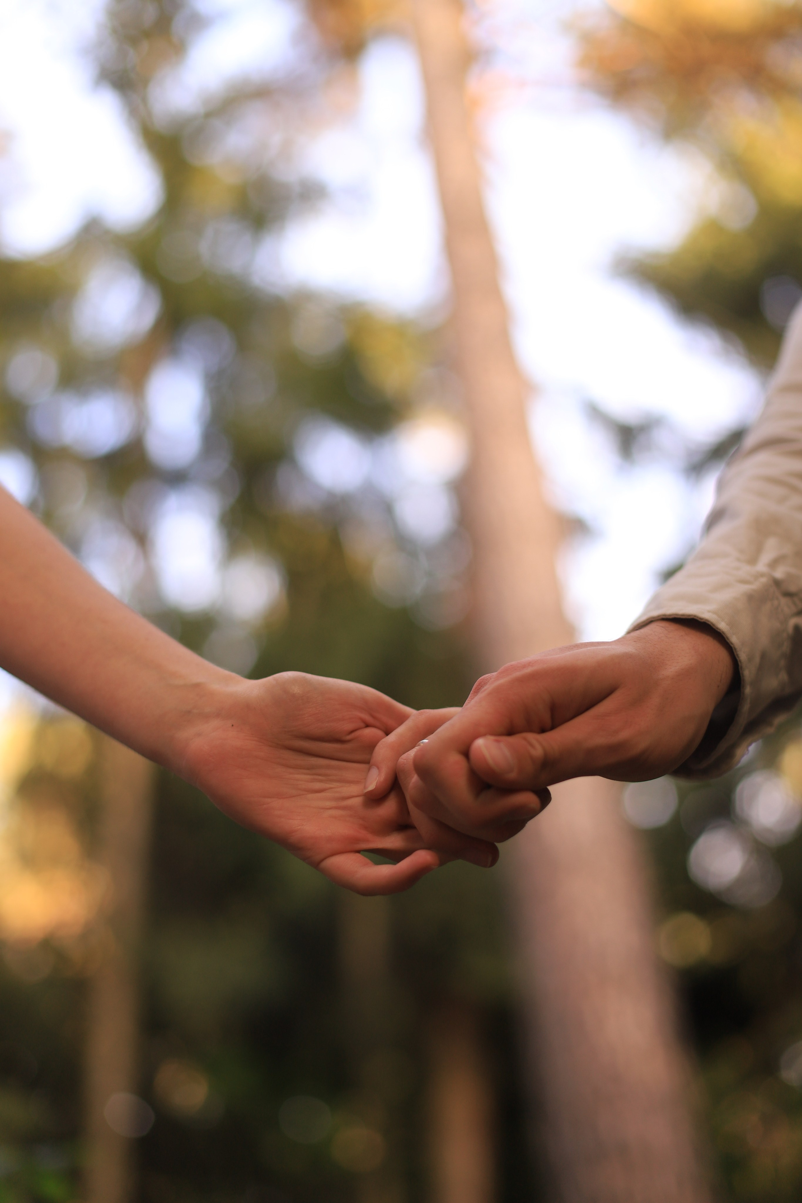 Прогулка в парке. Фотограф в Москве Елена Дроботя