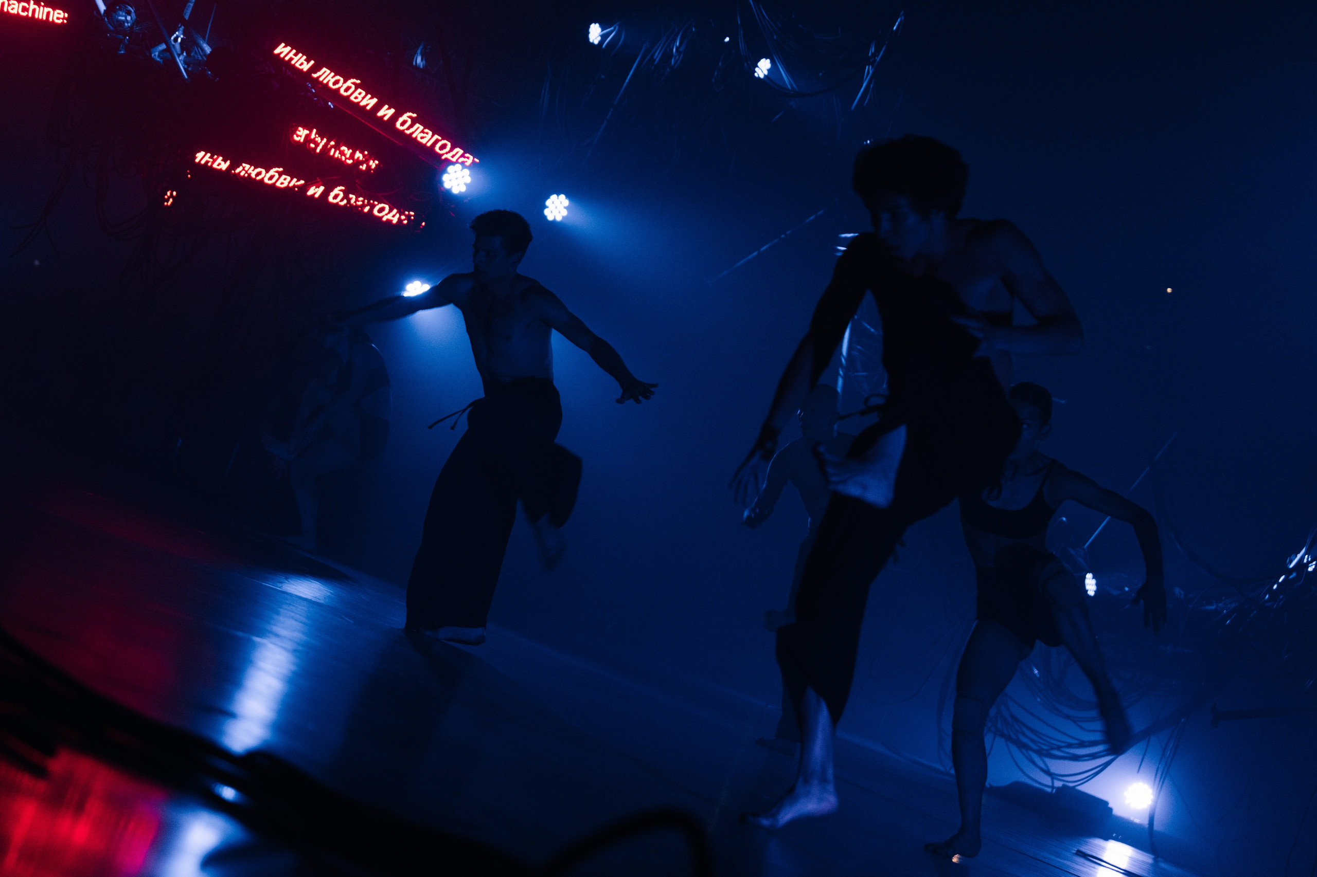 PERFORMA, The Hour of the Horse. @tomrus: Рустам Шагиморданов — фотограф