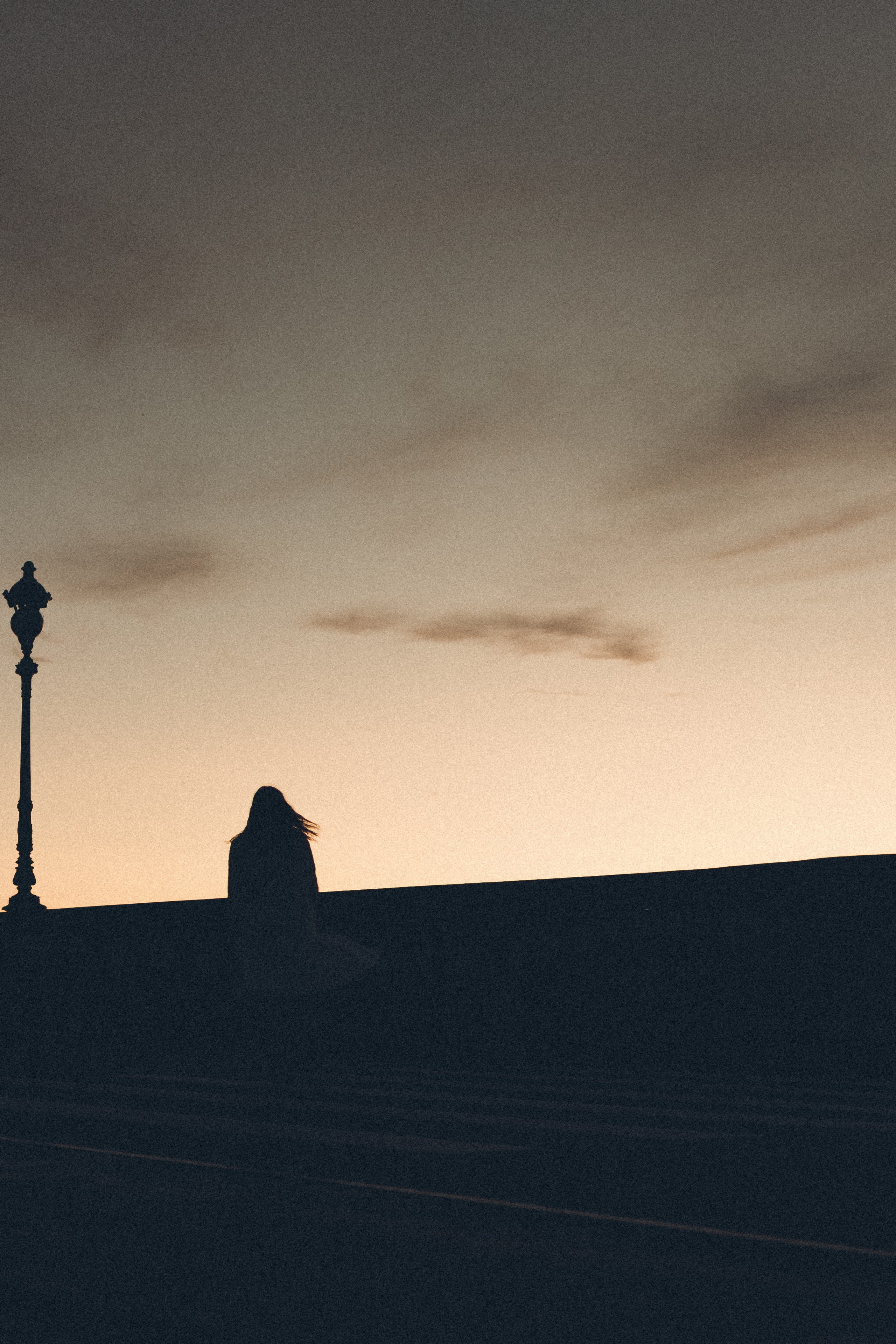 РАССВЕТ С РАЗВОДНЫМИ МОСТАМИ. Профессиональный фотограф, Санкт-Петербург — Виктория Богомолова