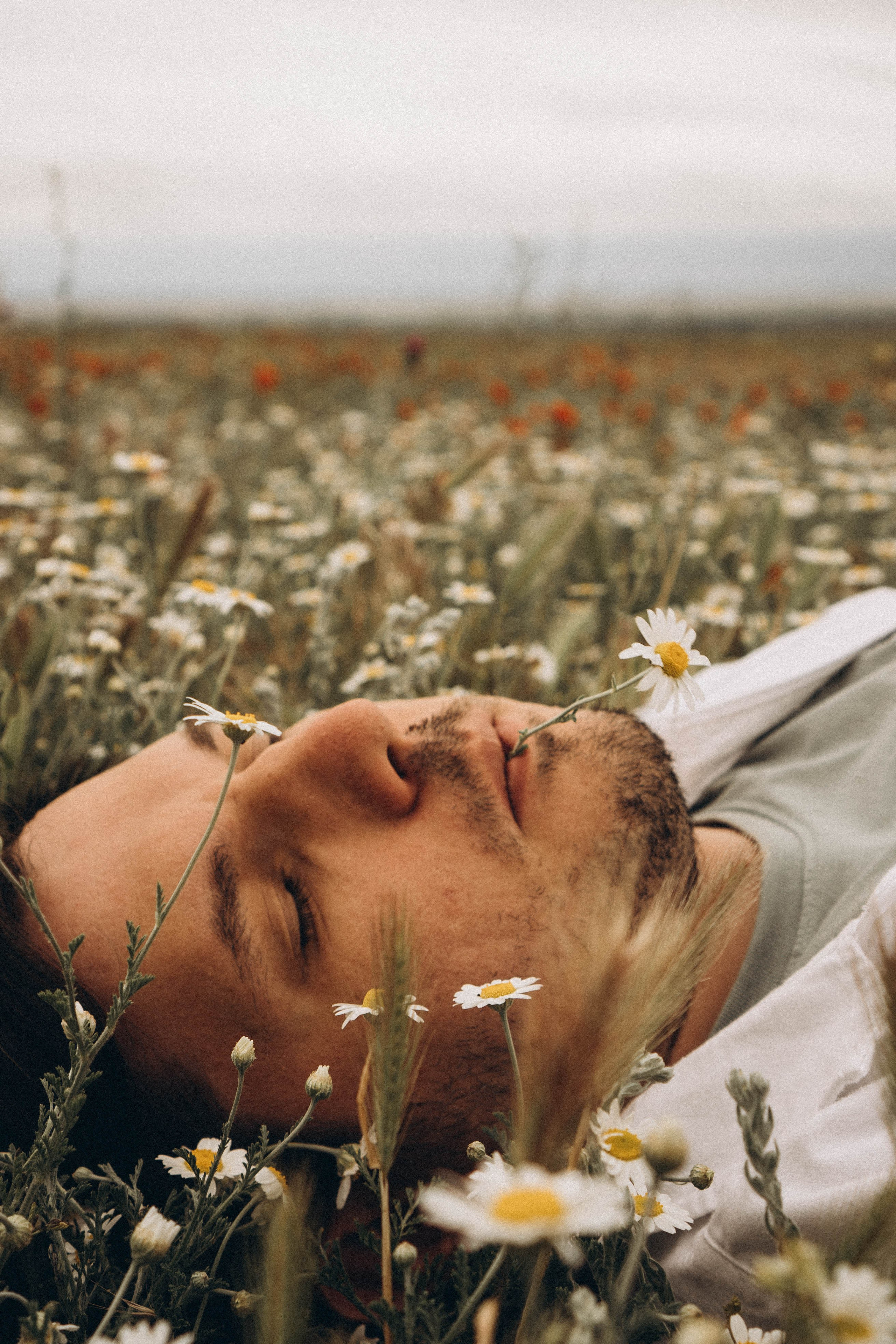 Маки. Профессиональный фотограф, Санкт-Петербург — Виктория Богомолова