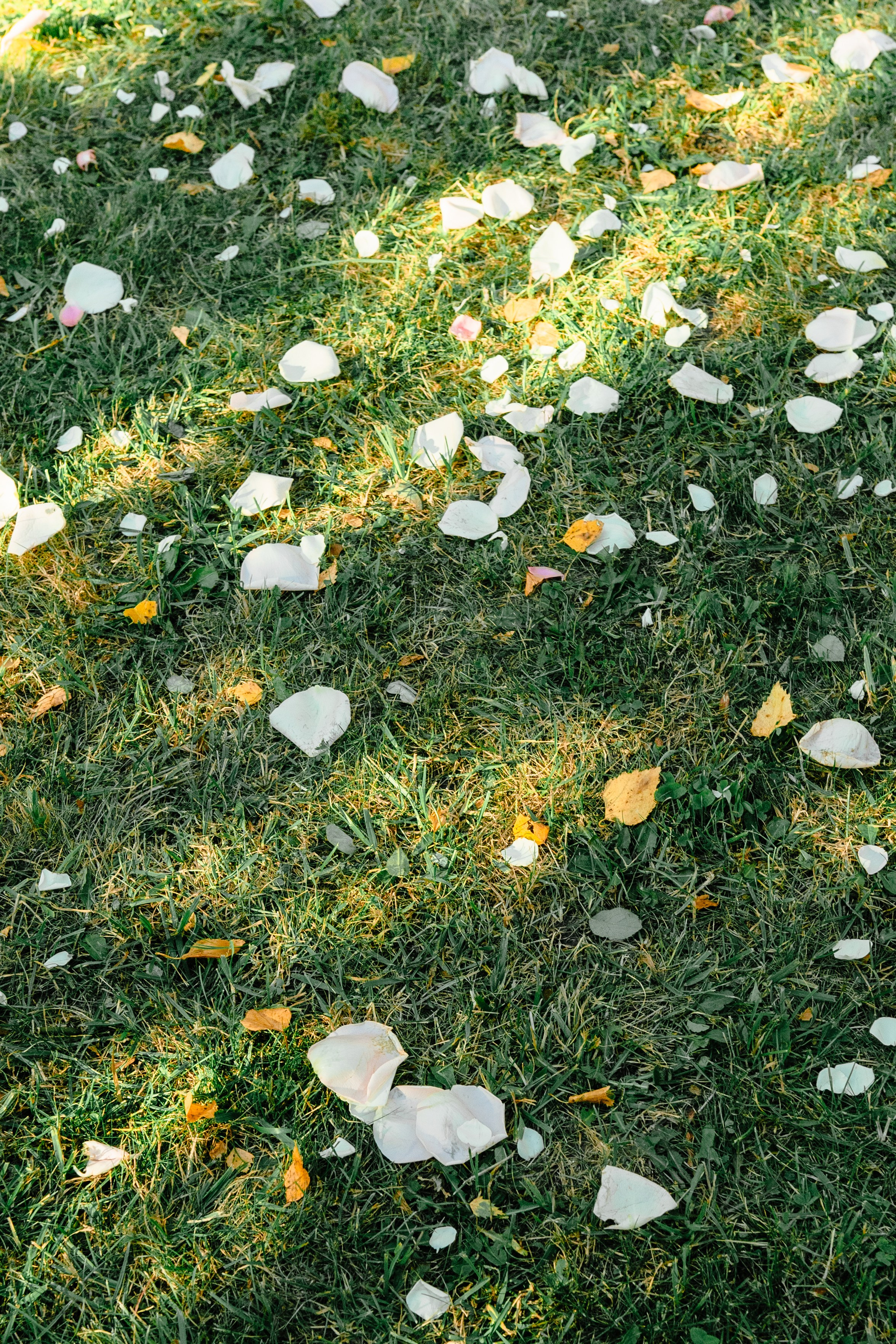 Алёна и Андреас. Фотограф в Москве Кондратьева Кристина