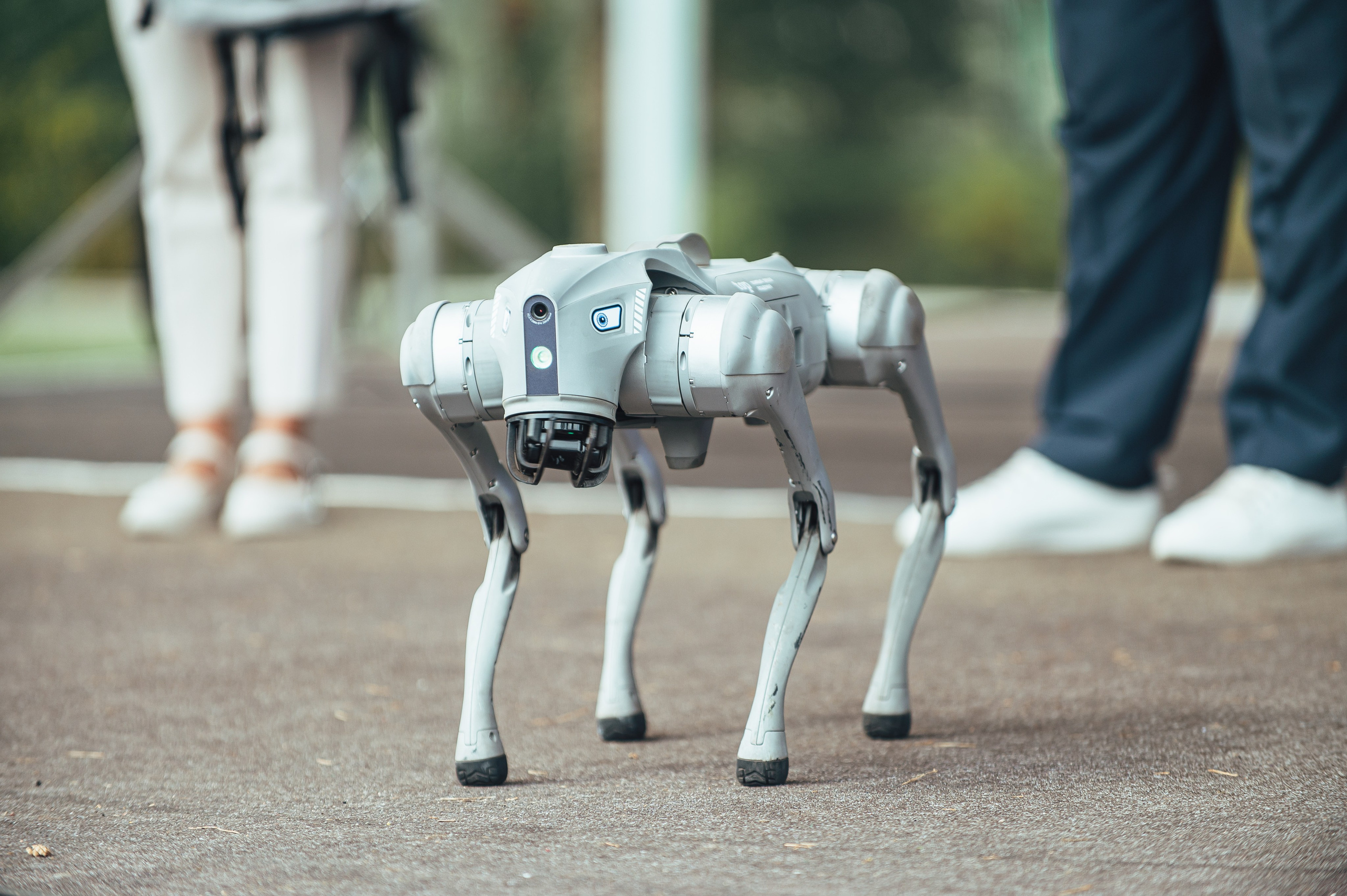 IT школа. Свадебная и концептуальная фотография в городе Улан-Удэ