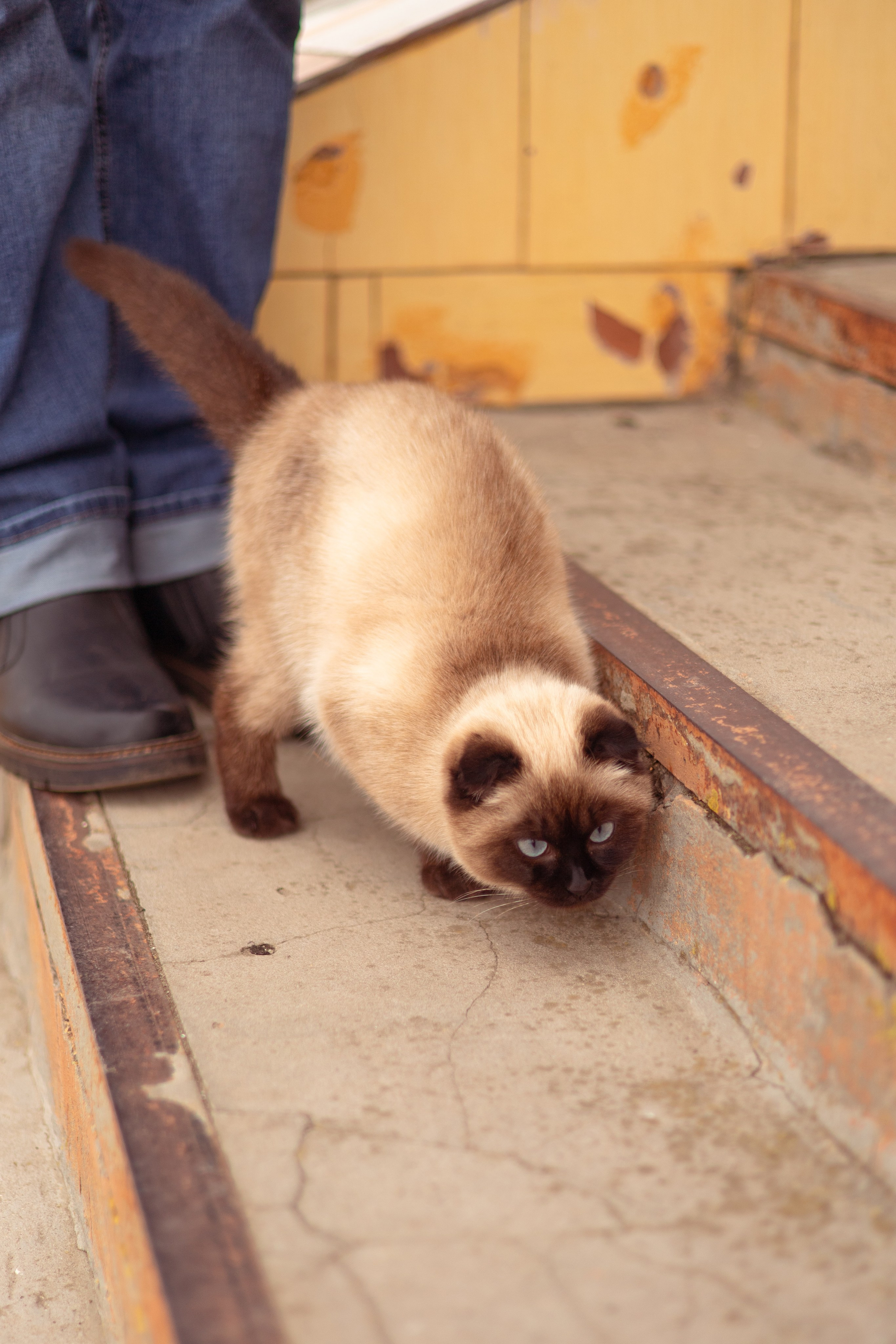 Таинство Крещения Ирины. Семейный и детский фотограф в Михайловке Татьяна Лестьева
