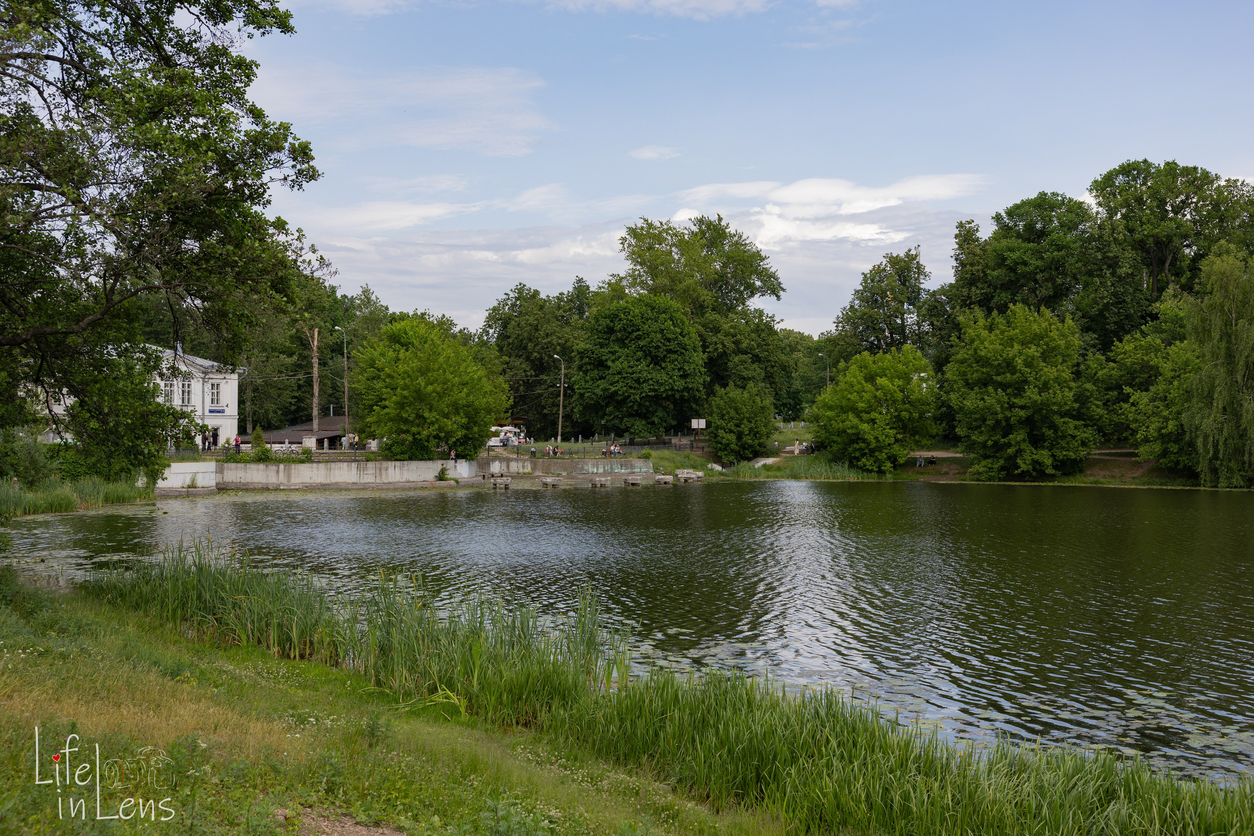 Парк Кузьминки. Фотограф, получающий удовольствие от своей работы