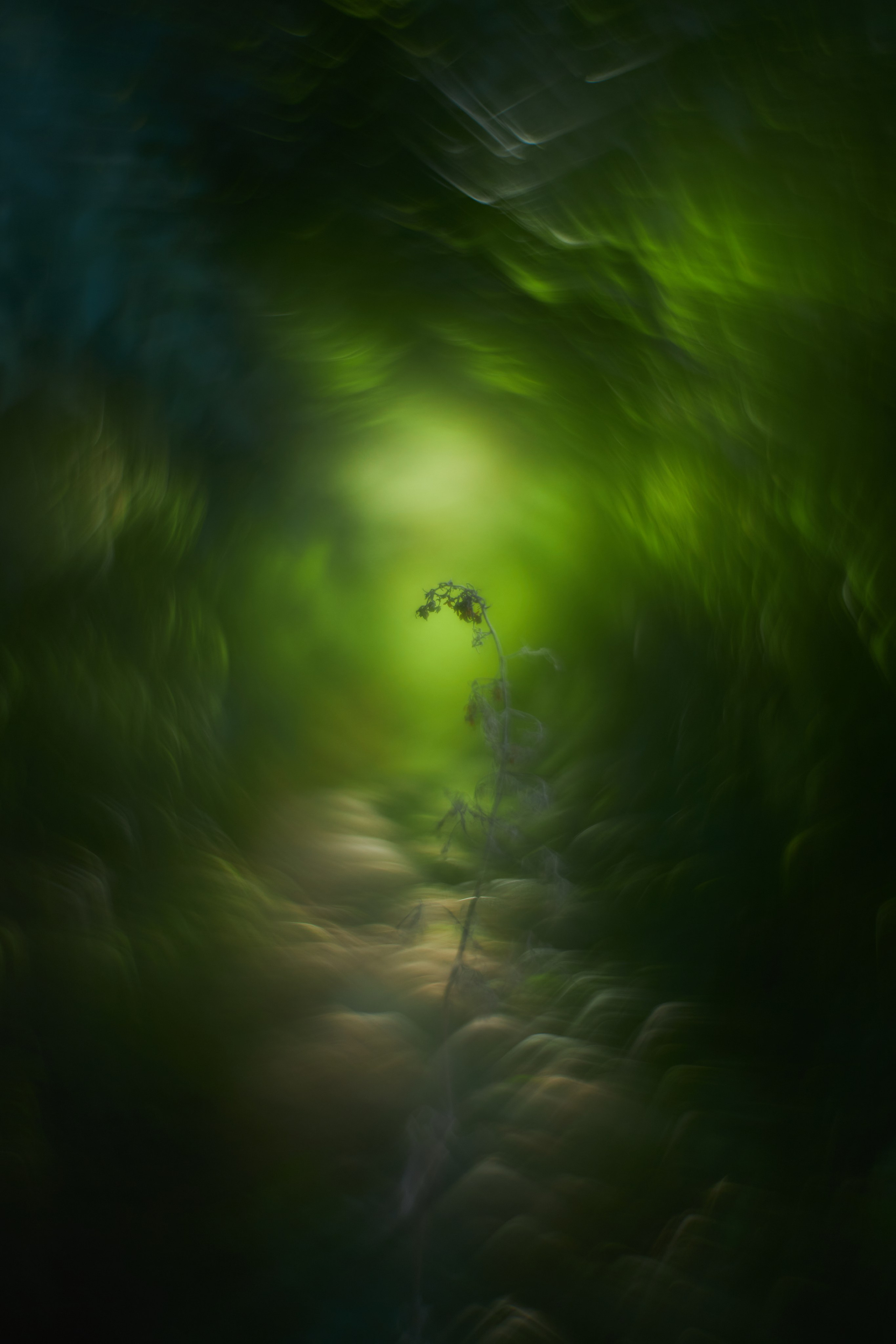 «Незримые Миры». Арт-фотограф во Владивостоке Дмитрий Осипчук