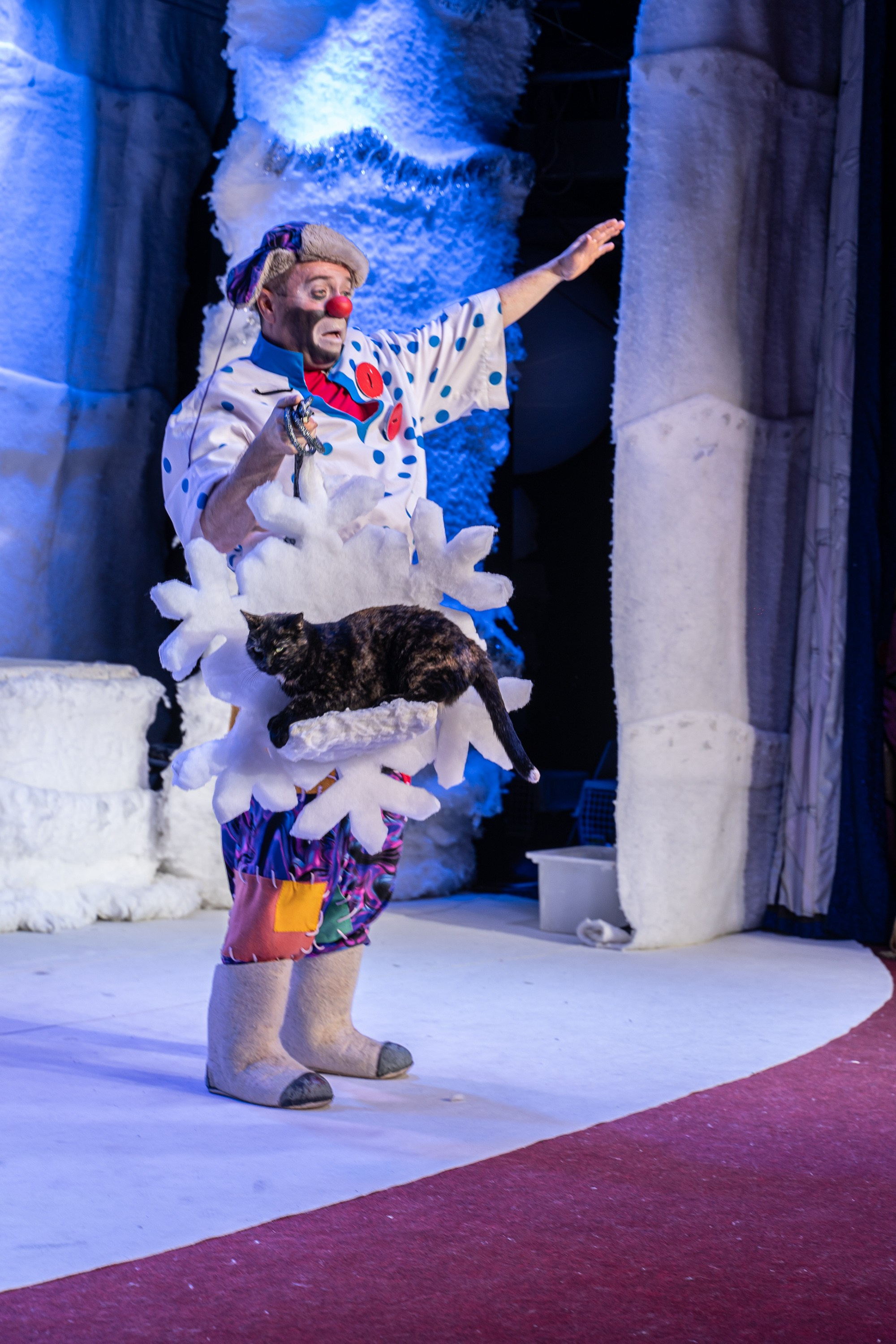 Театр Куклачева и его закулисье. Разноплановый фотограф в Москве