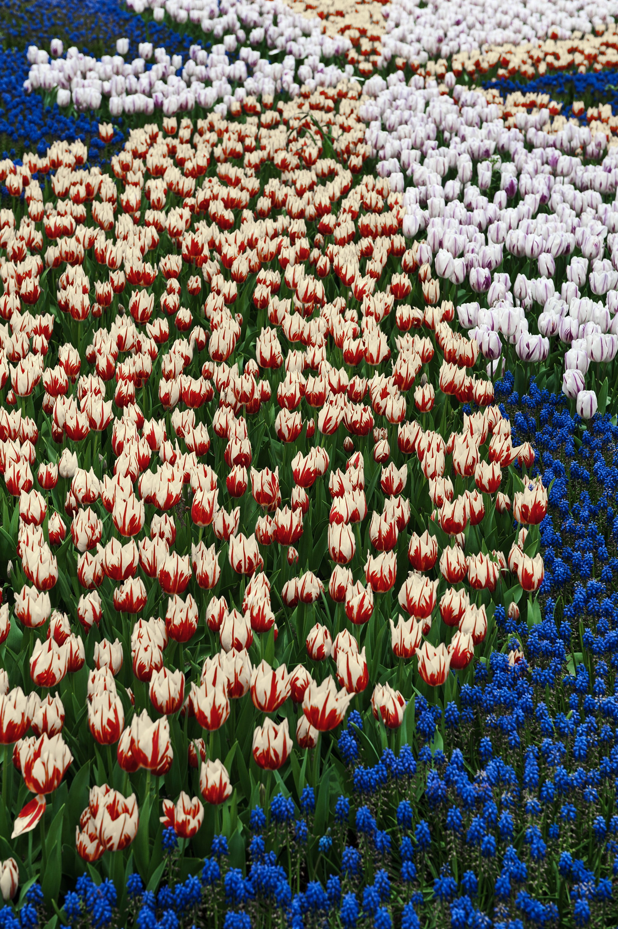 Документальная фотография — проект «Стамбул многоликий» | Дмитрий Тарасов. Репортажный фотограф в Москве — Дмитрий Тарасов | Съёмка мероприятий, концертов, корпоративов