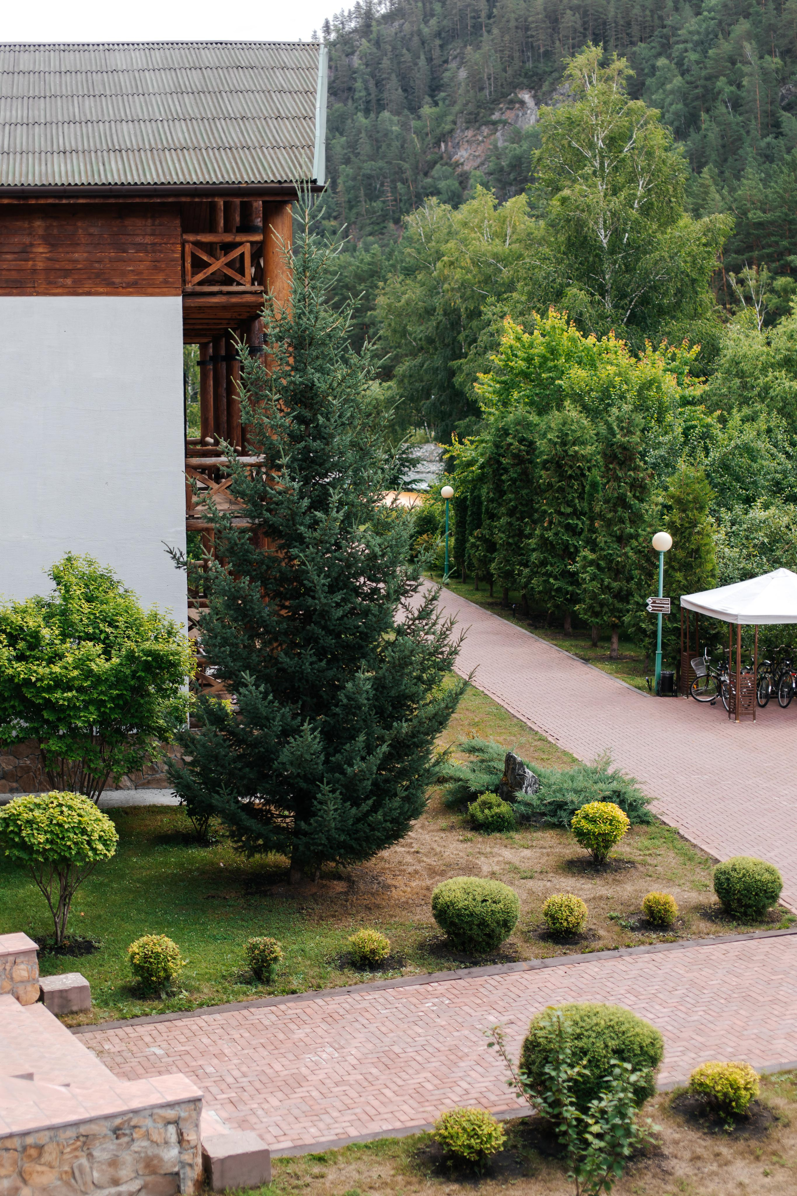 Сезонный контент для эко-курорта Марьин Остров. Лихошерстов Андрей — фотограф для бизнеса из Сибири