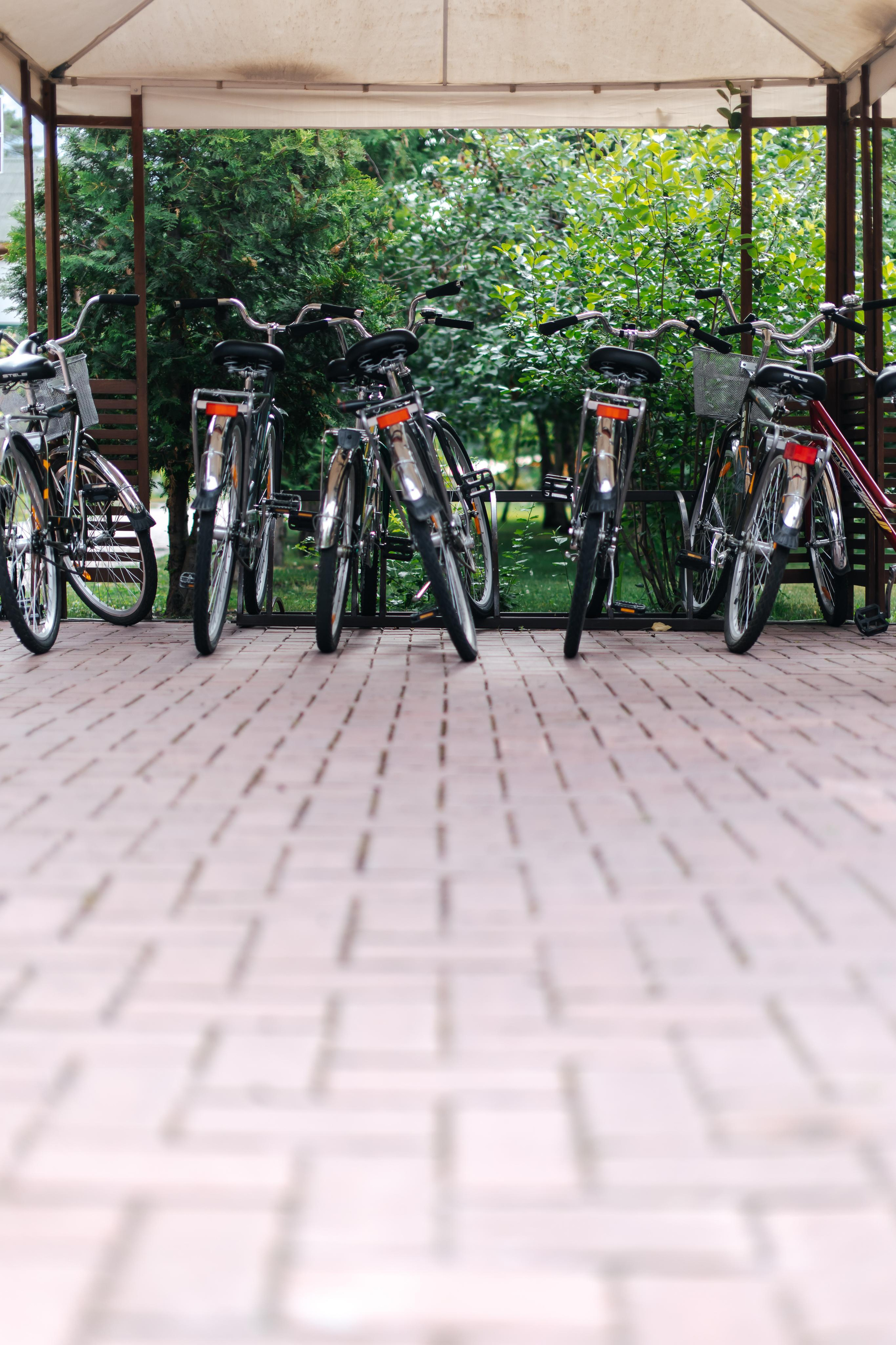 Сезонный контент для эко-курорта Марьин Остров. Лихошерстов Андрей — фотограф для бизнеса из Сибири