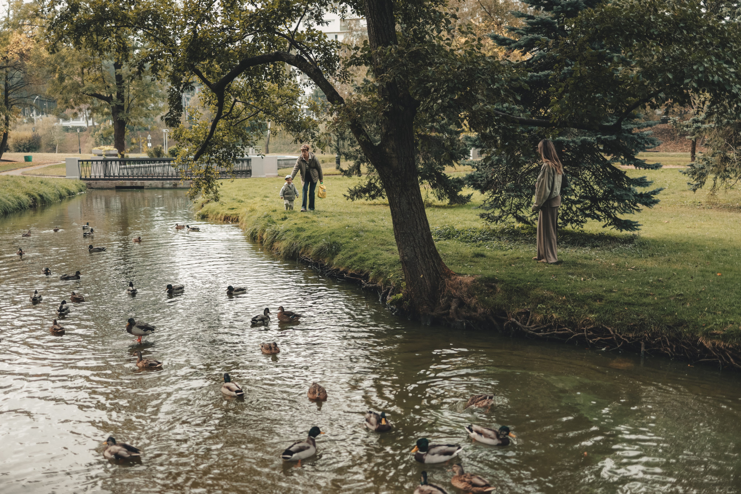 Семейная фотосессия в парке. Детский и семейный фотограф в Минске Дарья Арашкович