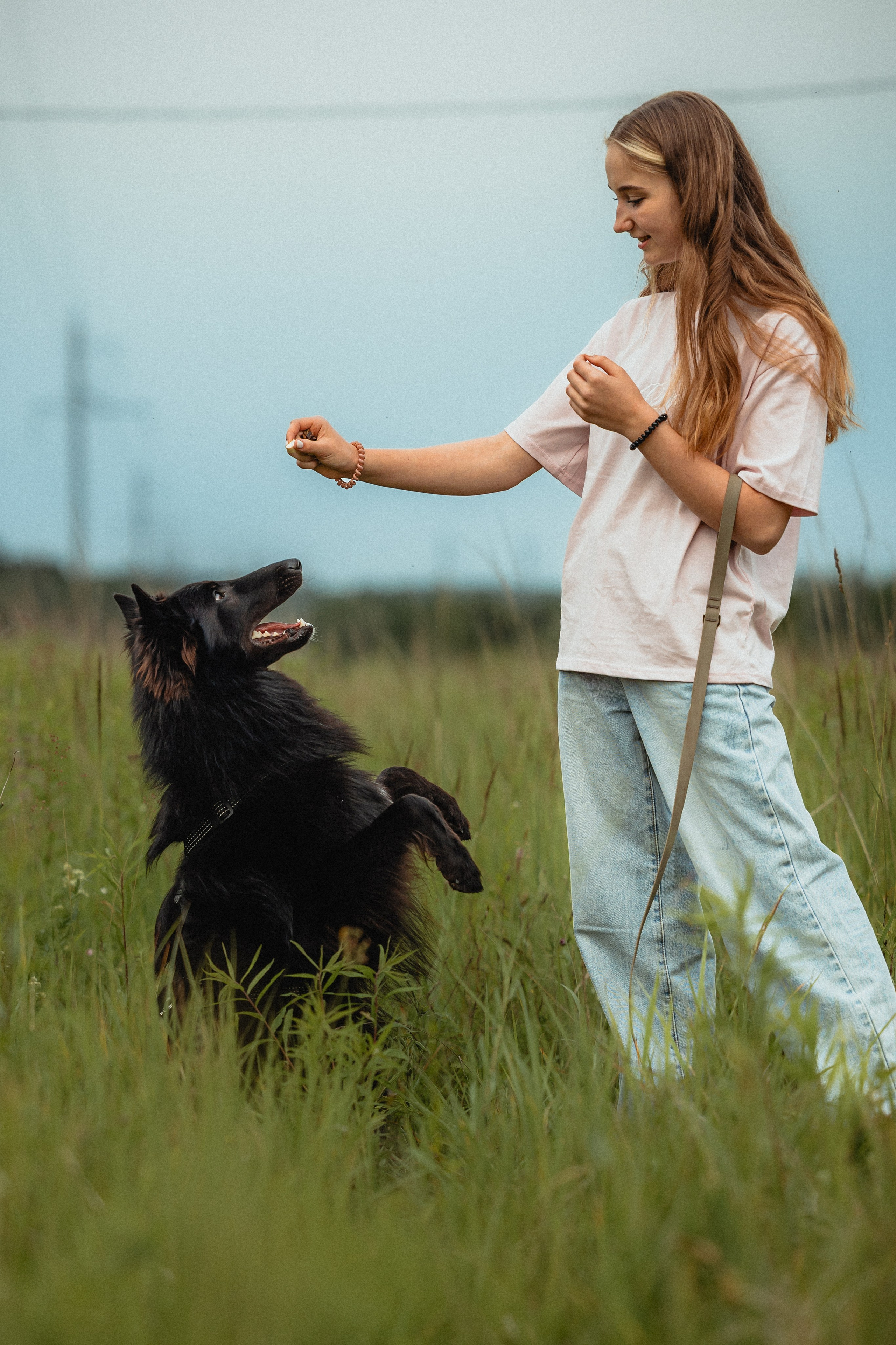 Выездной дог-тренинг от школы «Шерсть имею»