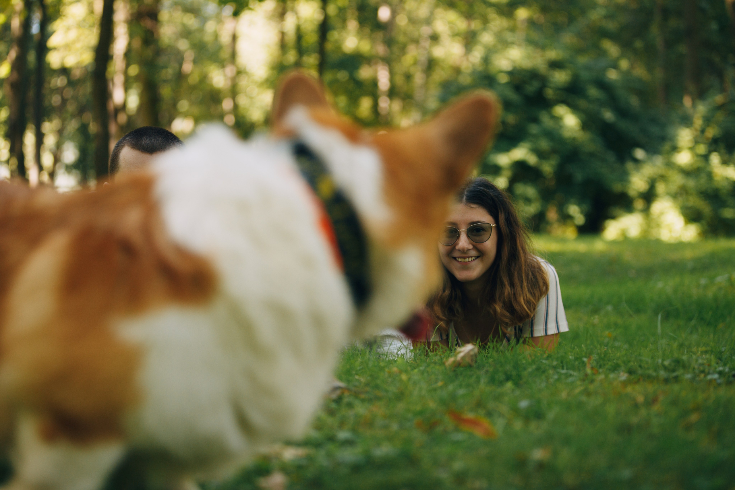 Мерф, Саша, Арсений и Андрей. Фотограф анималист Кристина Карпова, Москва