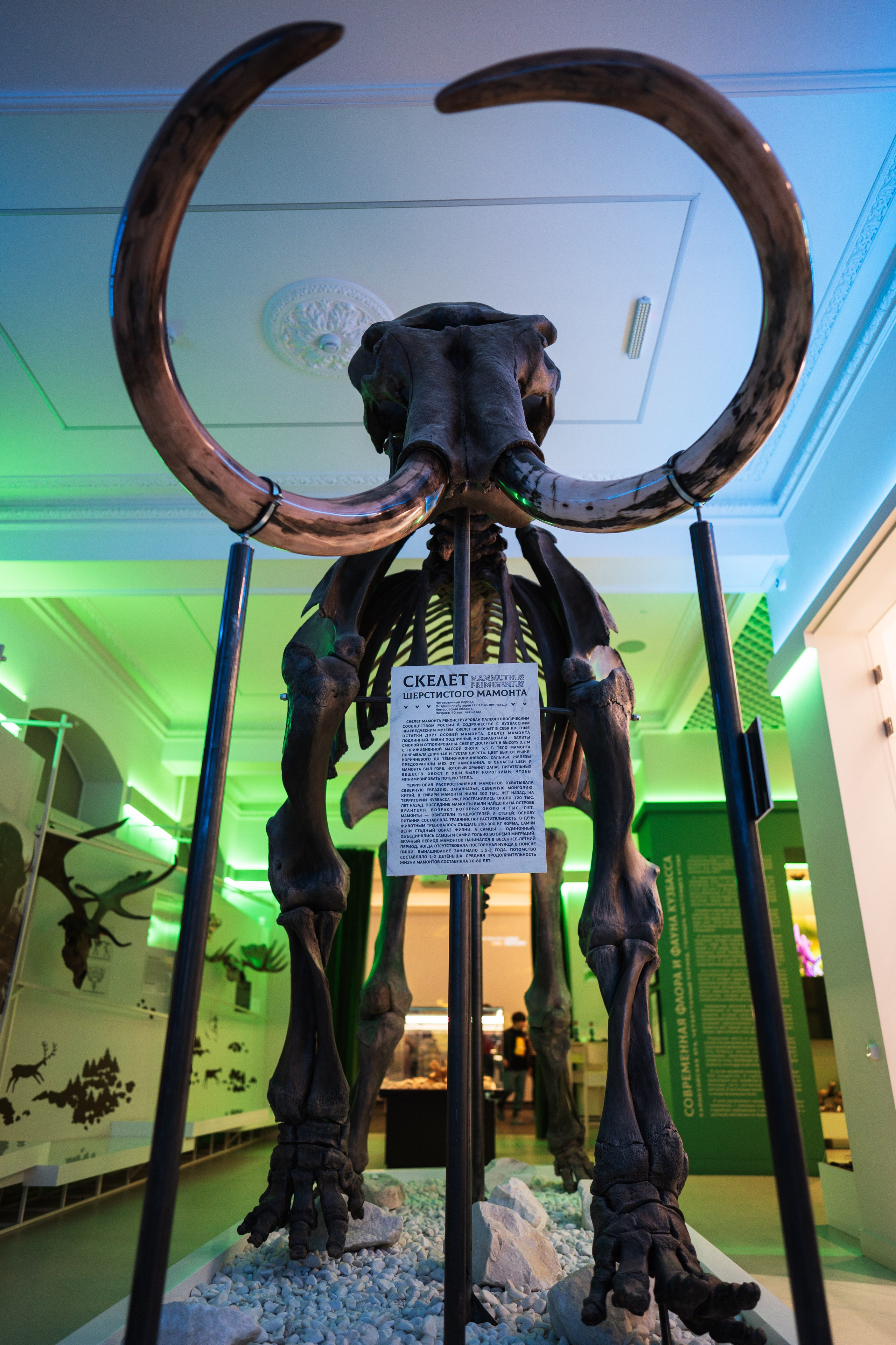 Ночь музеев 2024. Фотограф на любое событие в Кемерово