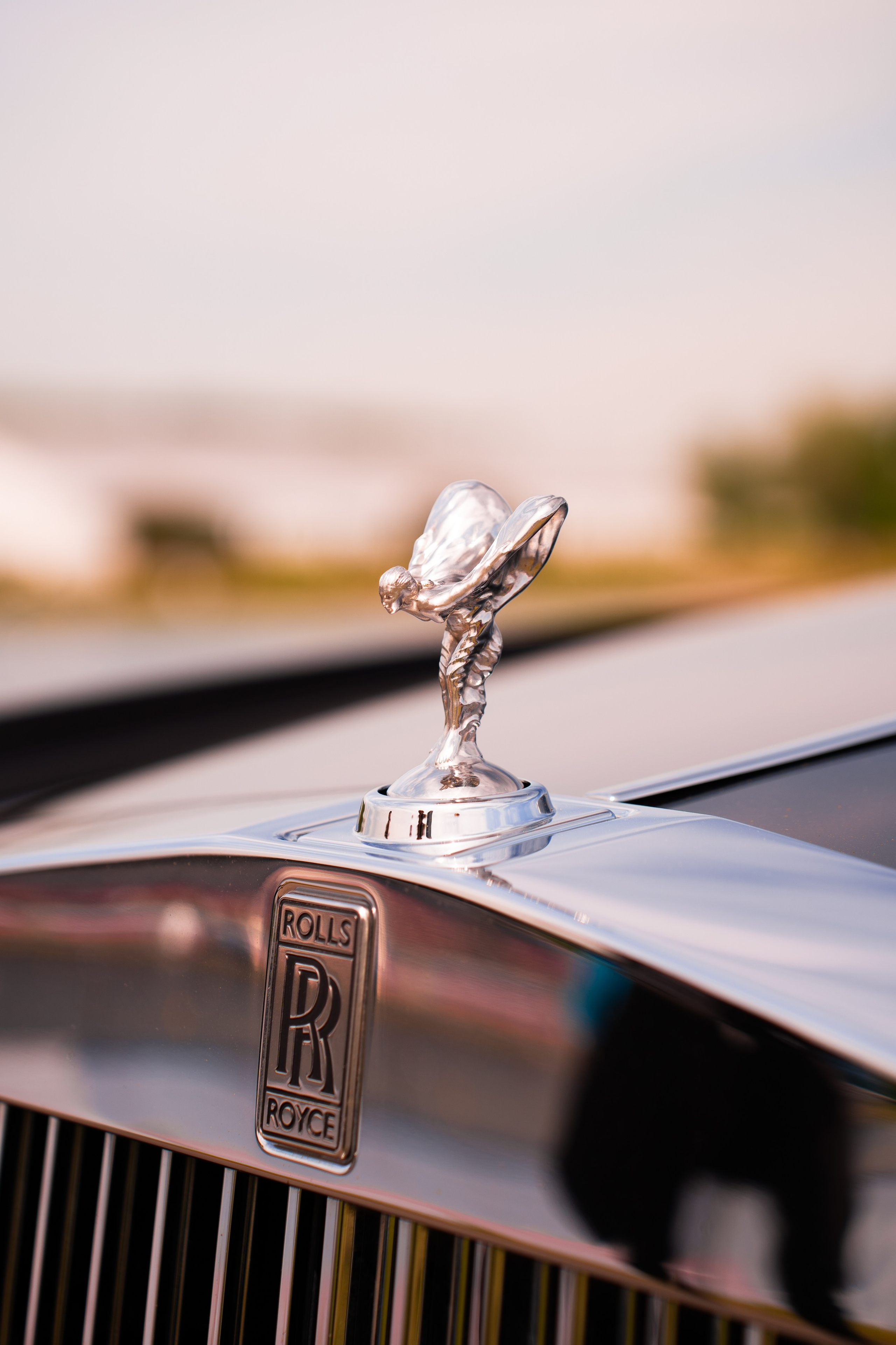 Автовыходные на Гребном канале 2024. Фотограф в Москве Ксения Насокина