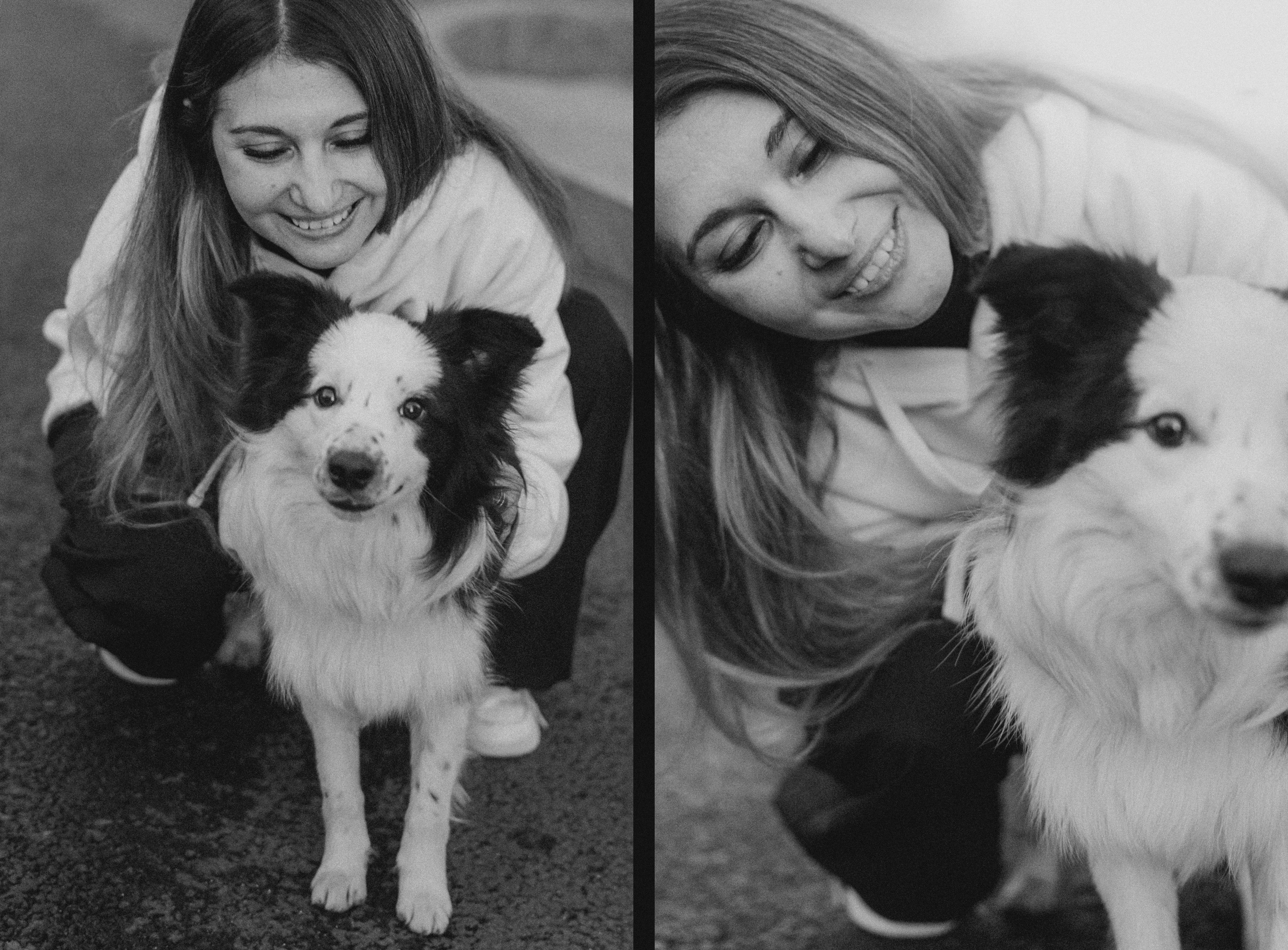 Таня, Дима и Чейси. Фотограф анималист в Москве и Санкт-Петербурге Свиридова Анна