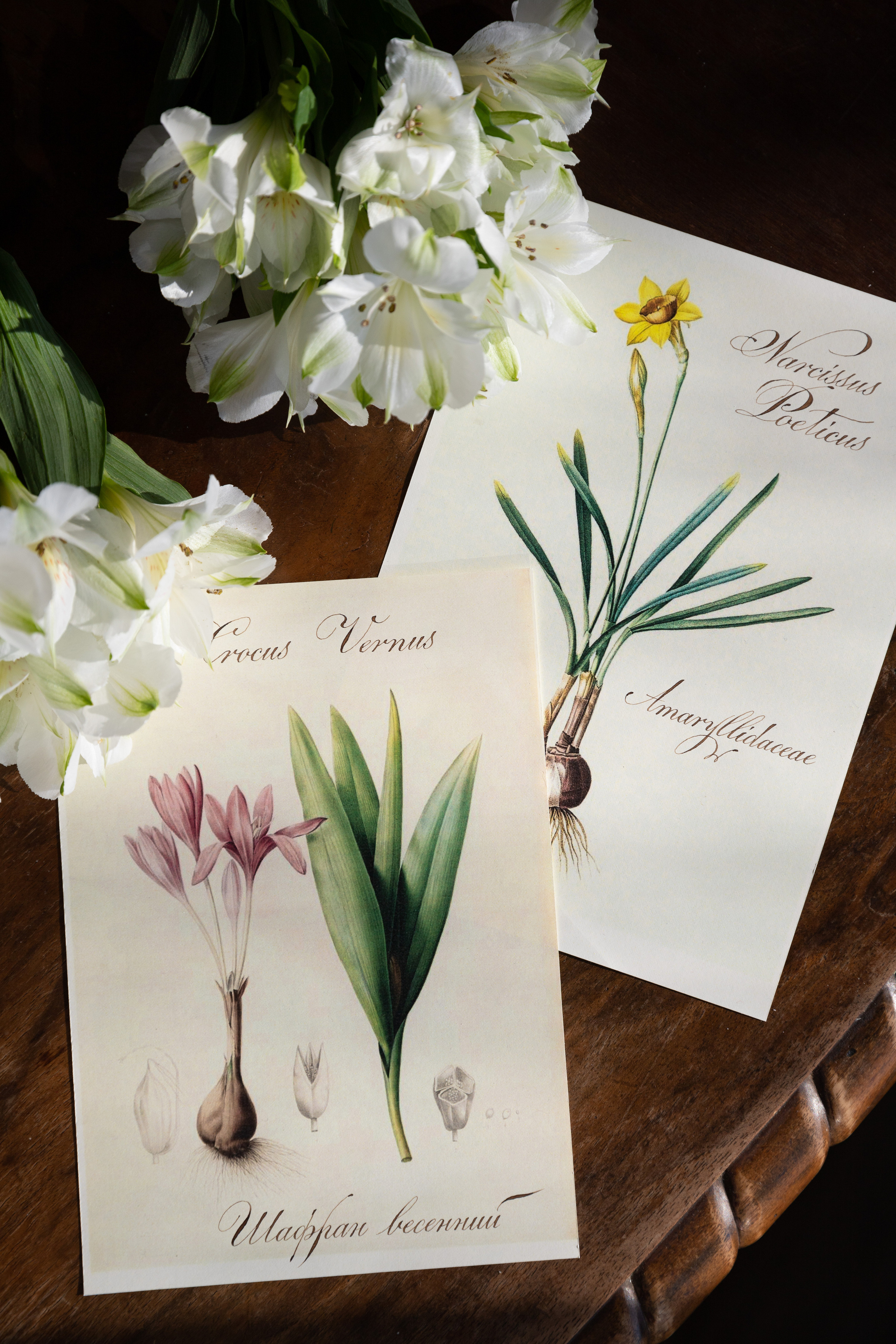 Творческие работы. Каллиграф Константин Парсаданов