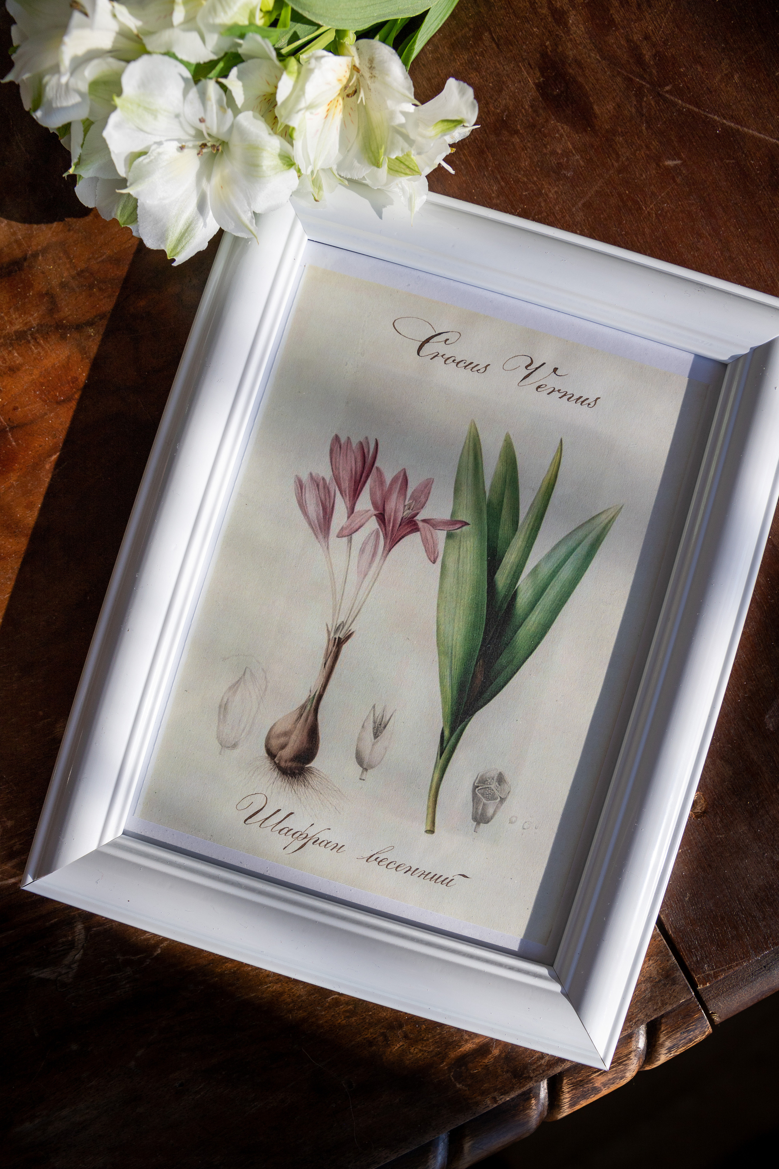 Творческие работы. Каллиграф Константин Парсаданов