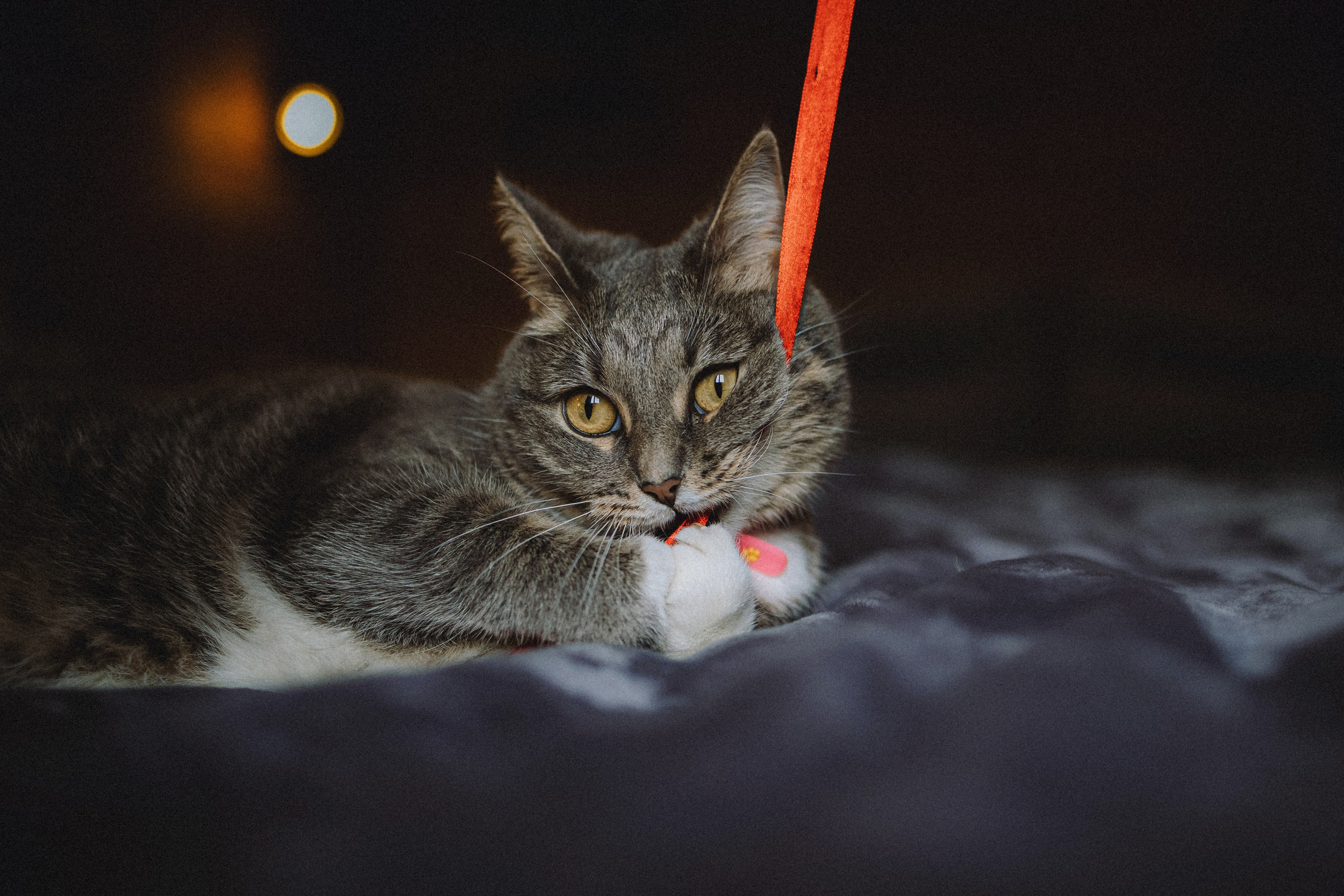 Леброн, Муся и их семья