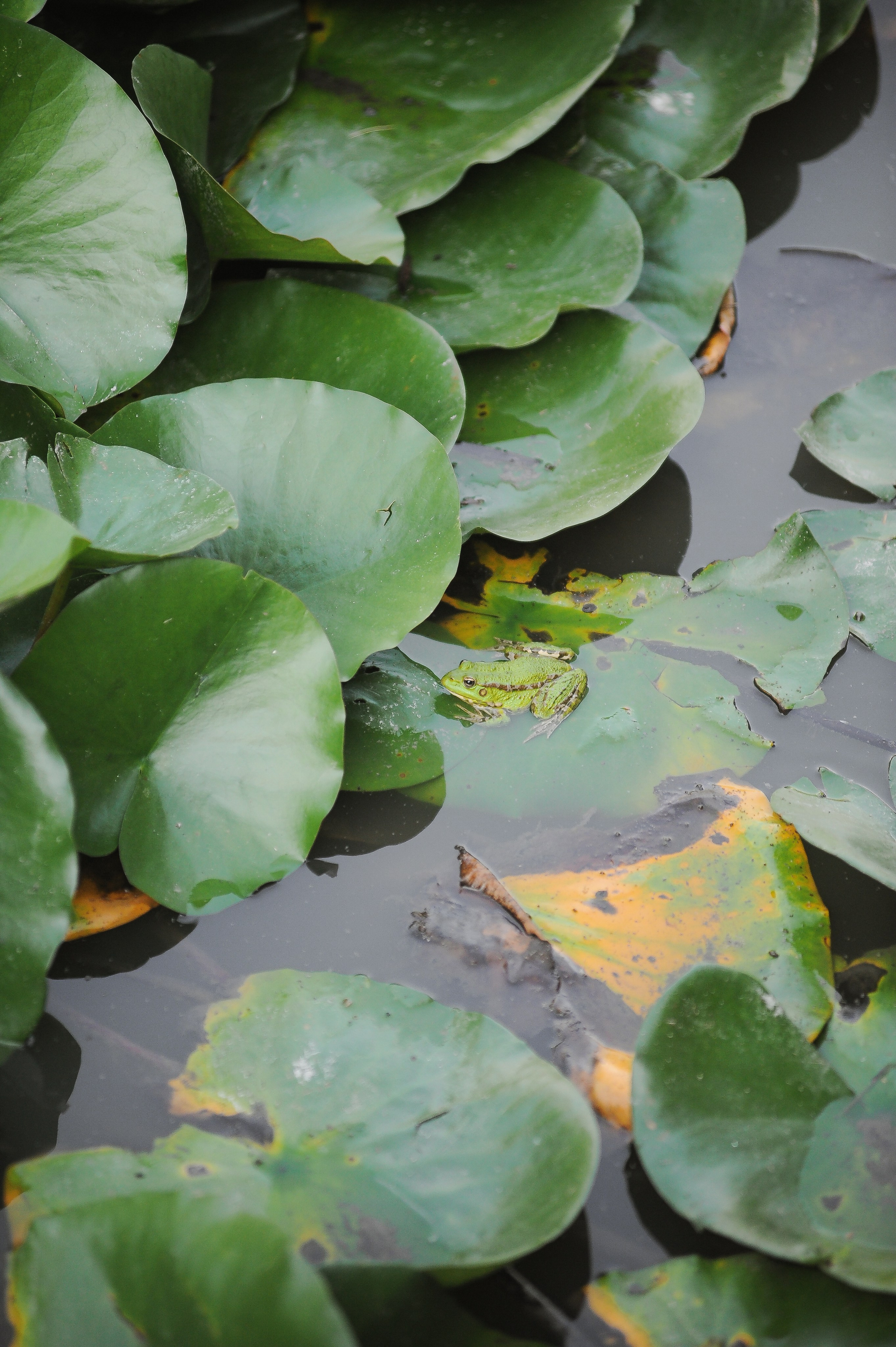 Гольф-клуб «Раевский». Фотограф, визажист. Москва