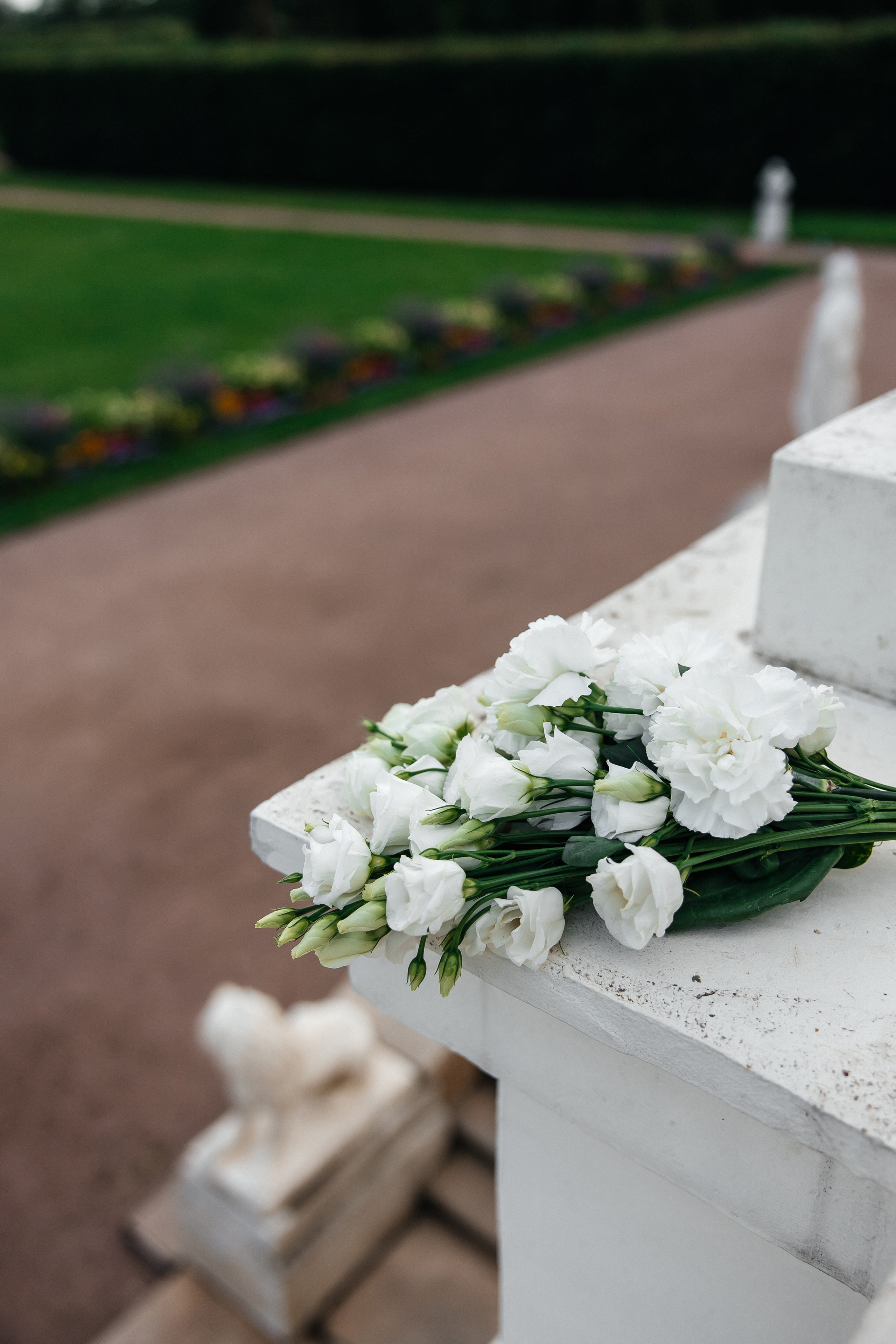 Алексей & Ольга