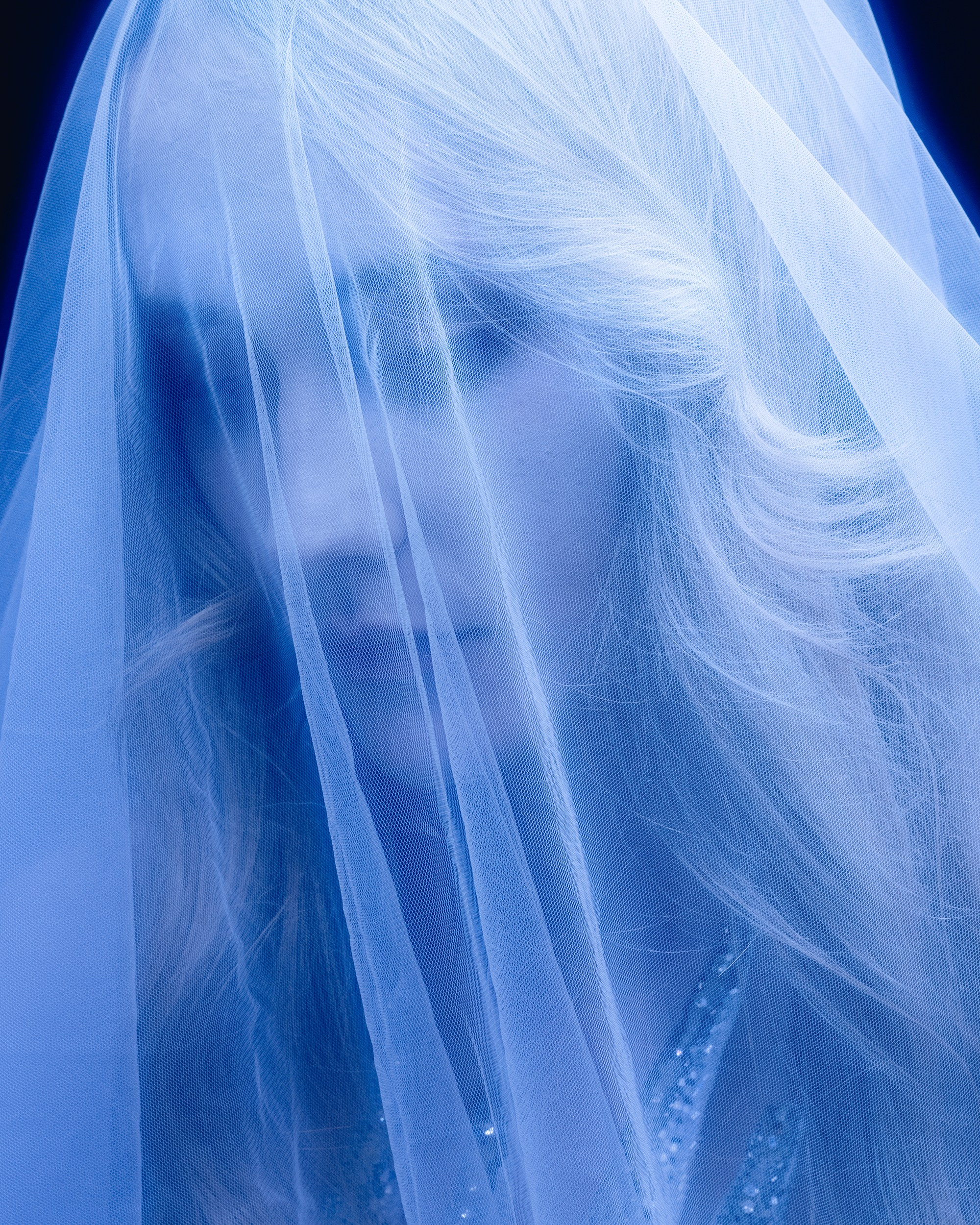 ELLI NA MAKOVOM POLE. Фотограф Анна Апрельская Москва| Moscow Anna Aprelskaya Photographer