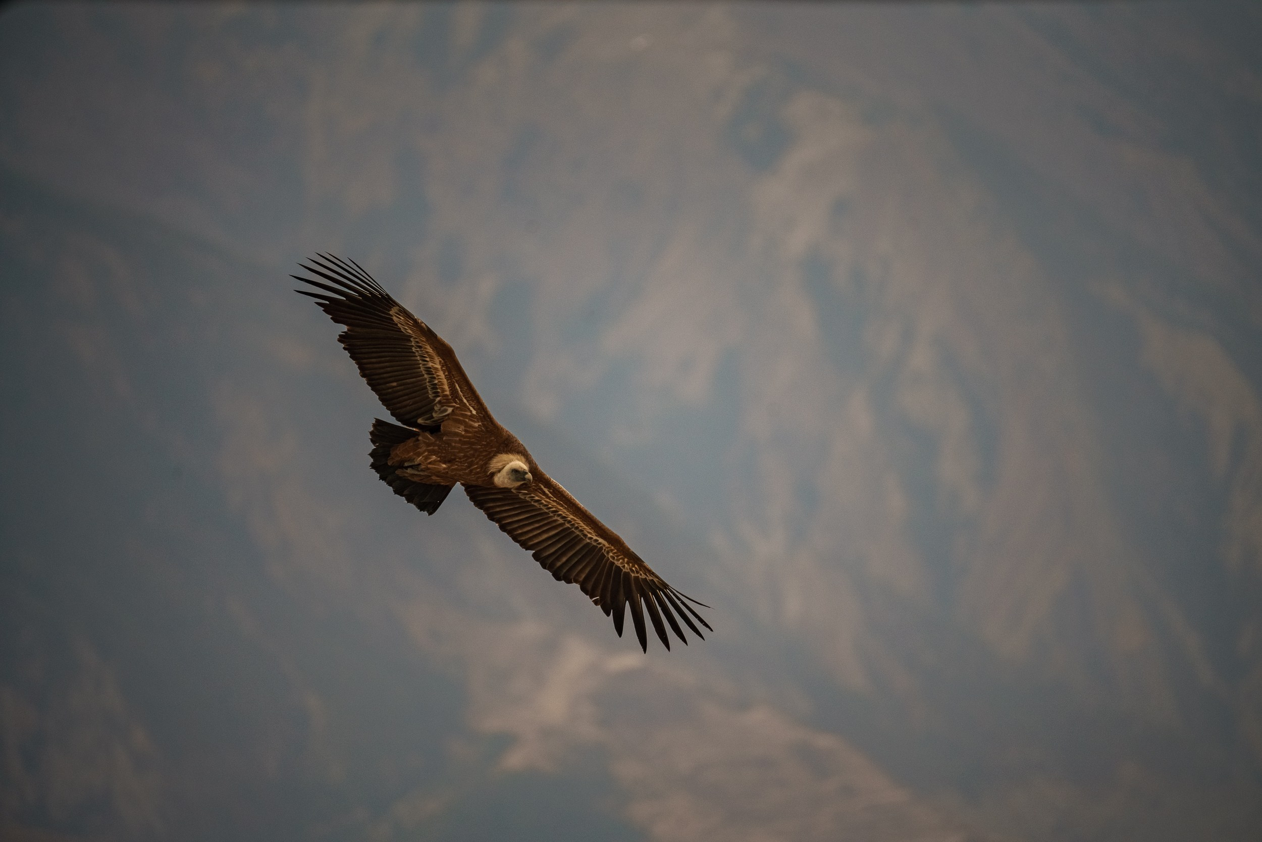 Тур в Дагестан