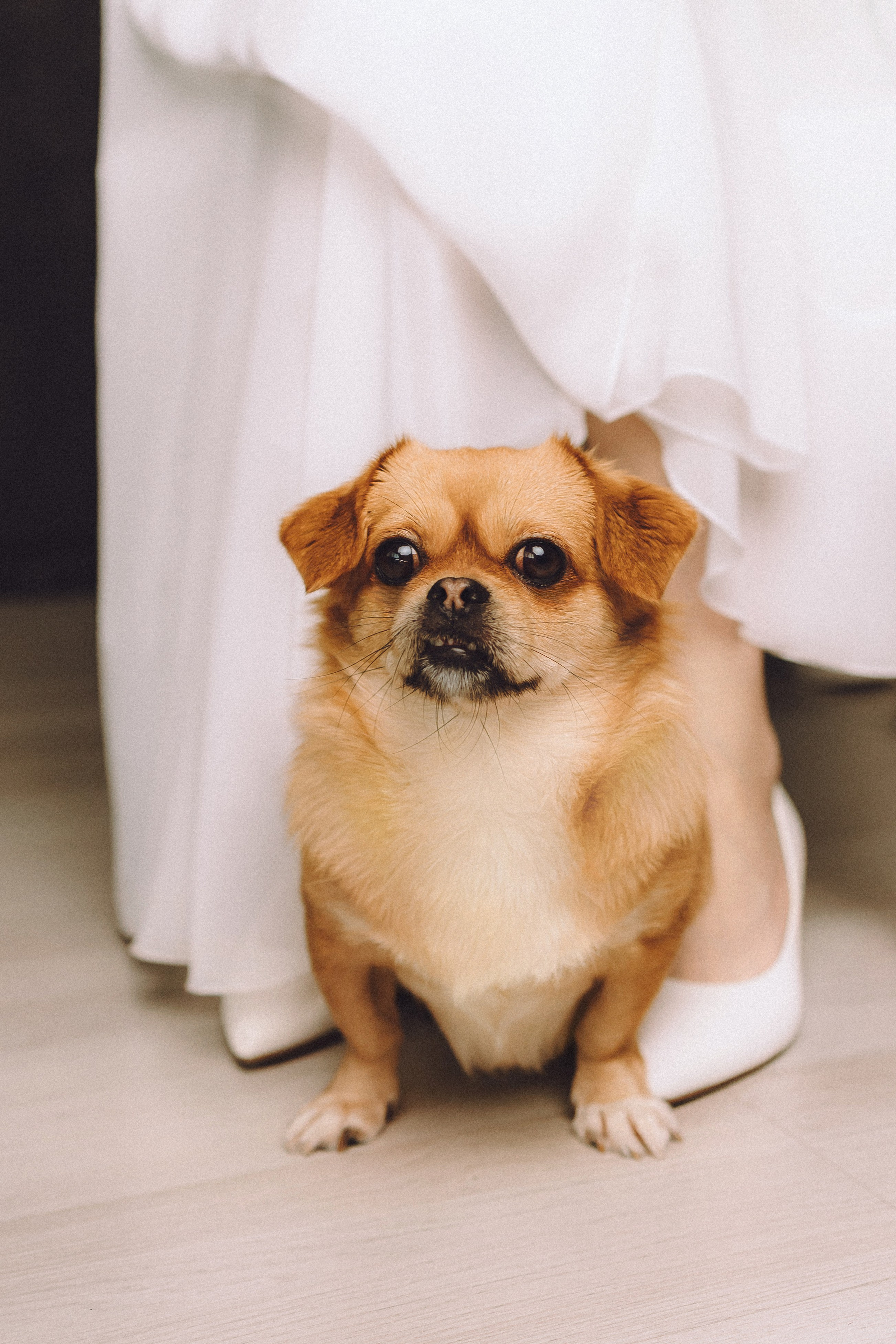 Денис, Василина, Гаврюша и Кнопка