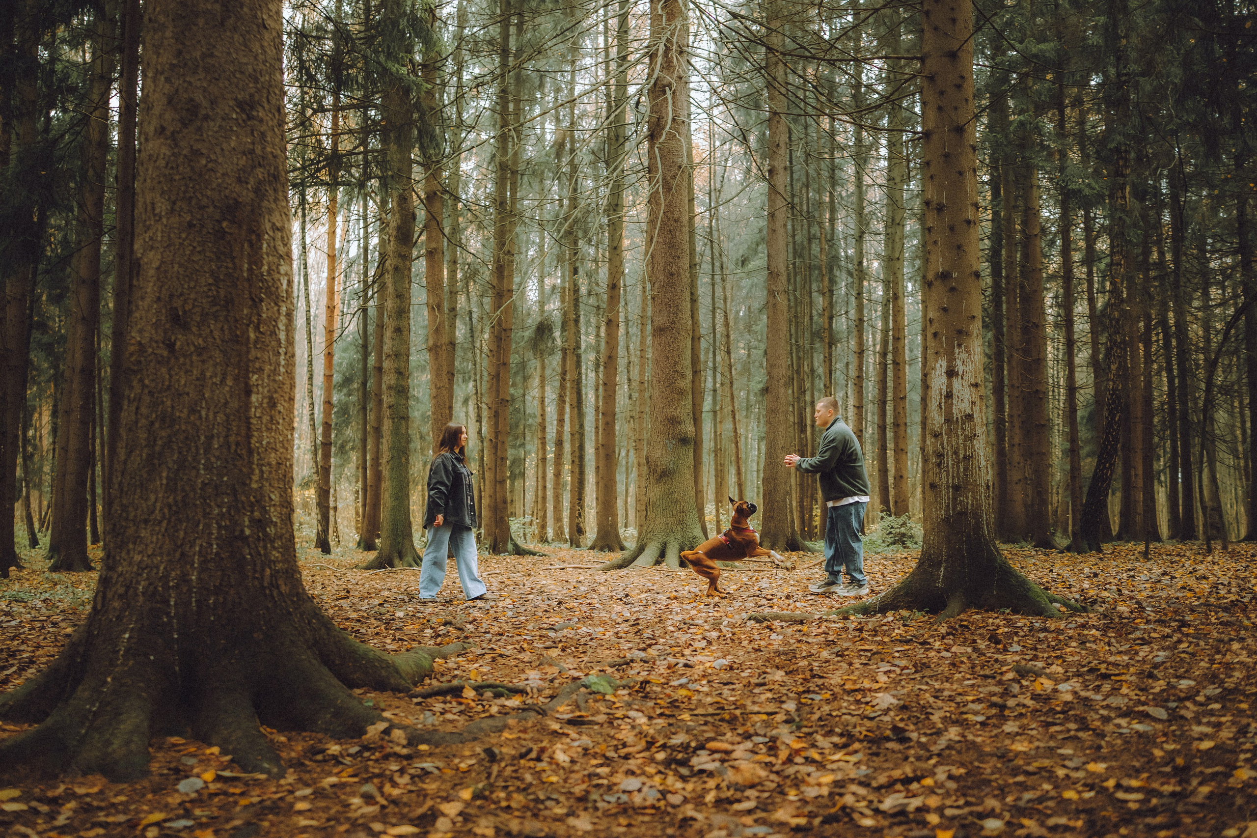 Элли и ее семья