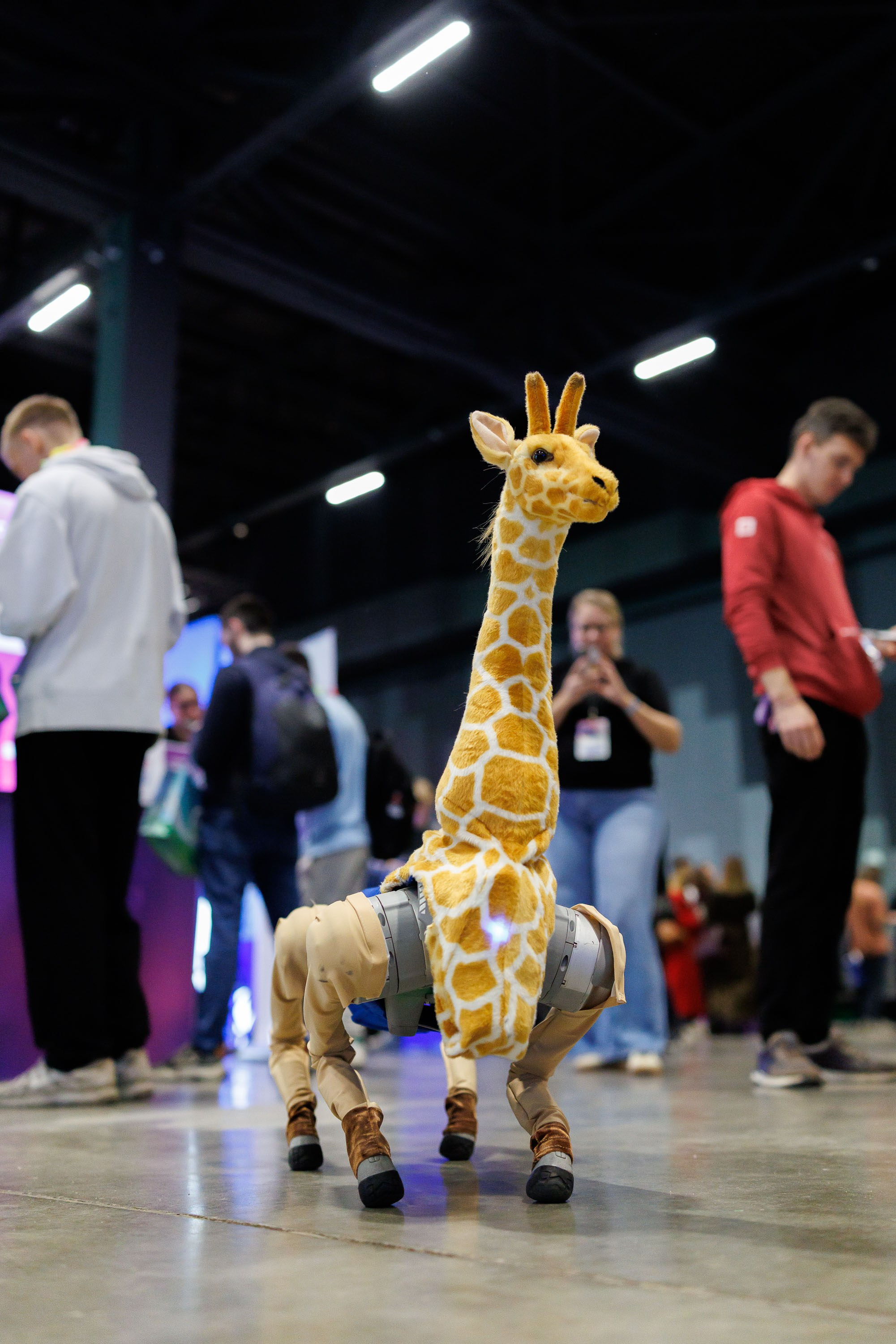 Репортаж Найти IT День карьеры в IT Main Stage. Фотограф-анималист в Москве и Московской области Татьяна Фролова