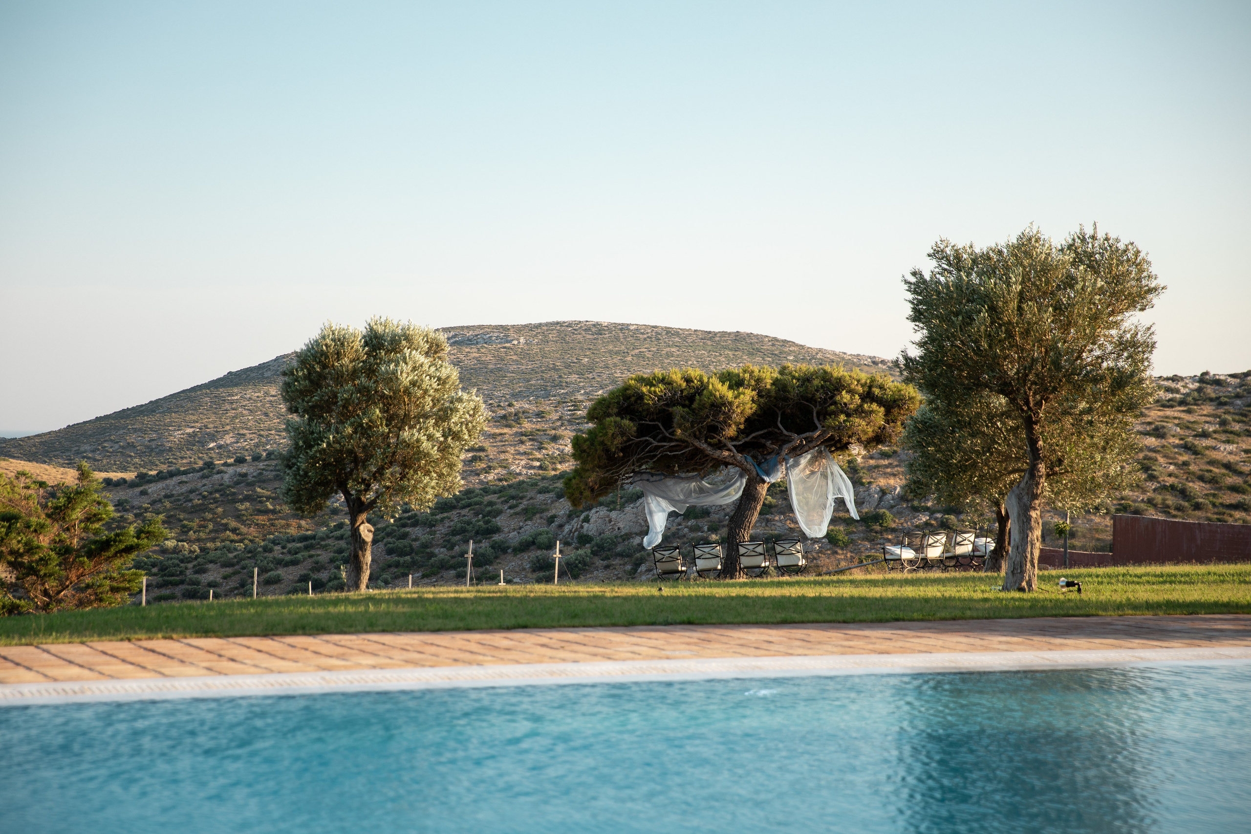 Максим & Ксения. Агентство по организации мероприятий