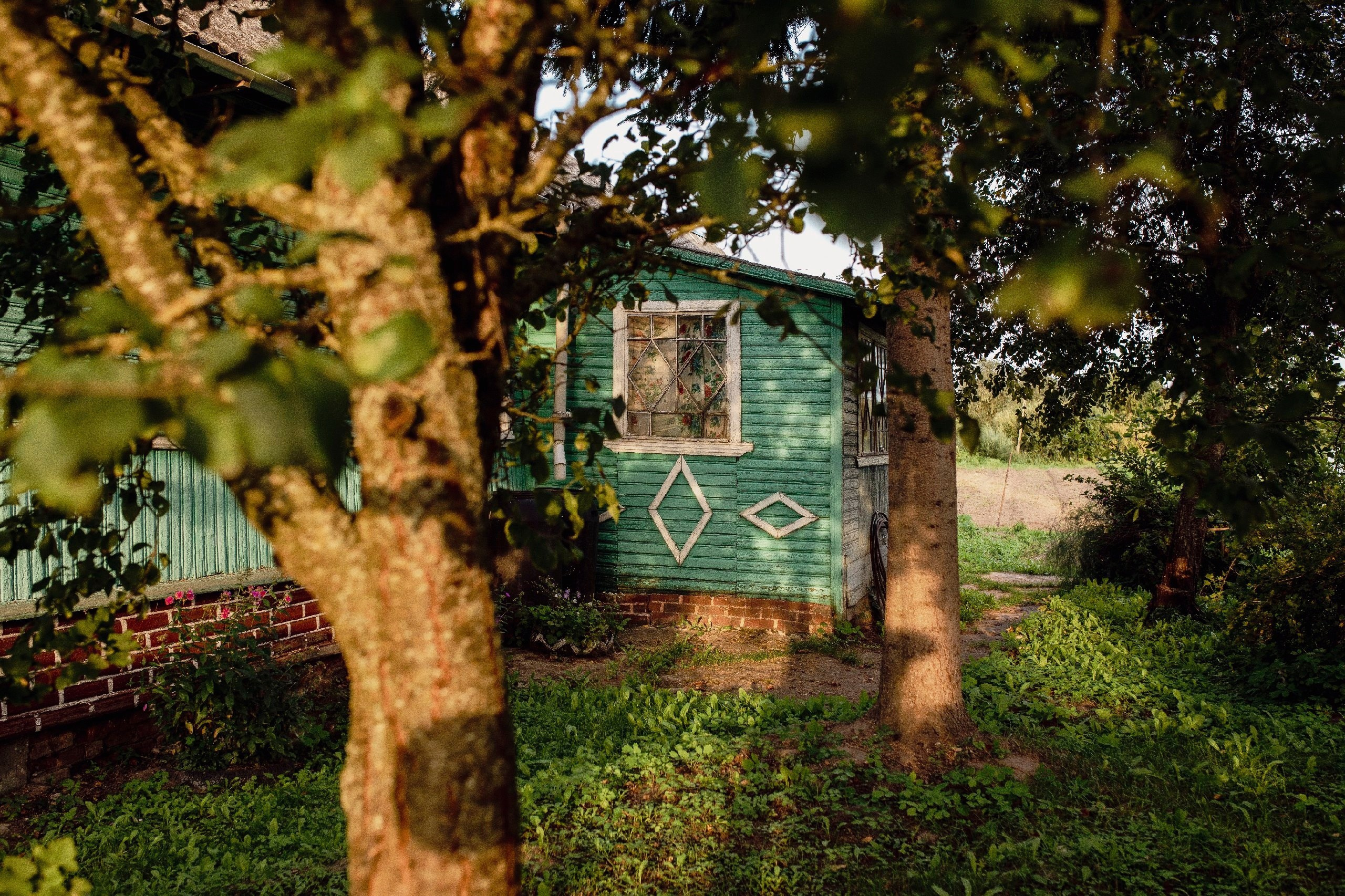 Цветные фотографии. Фотографии Лены Соколовой