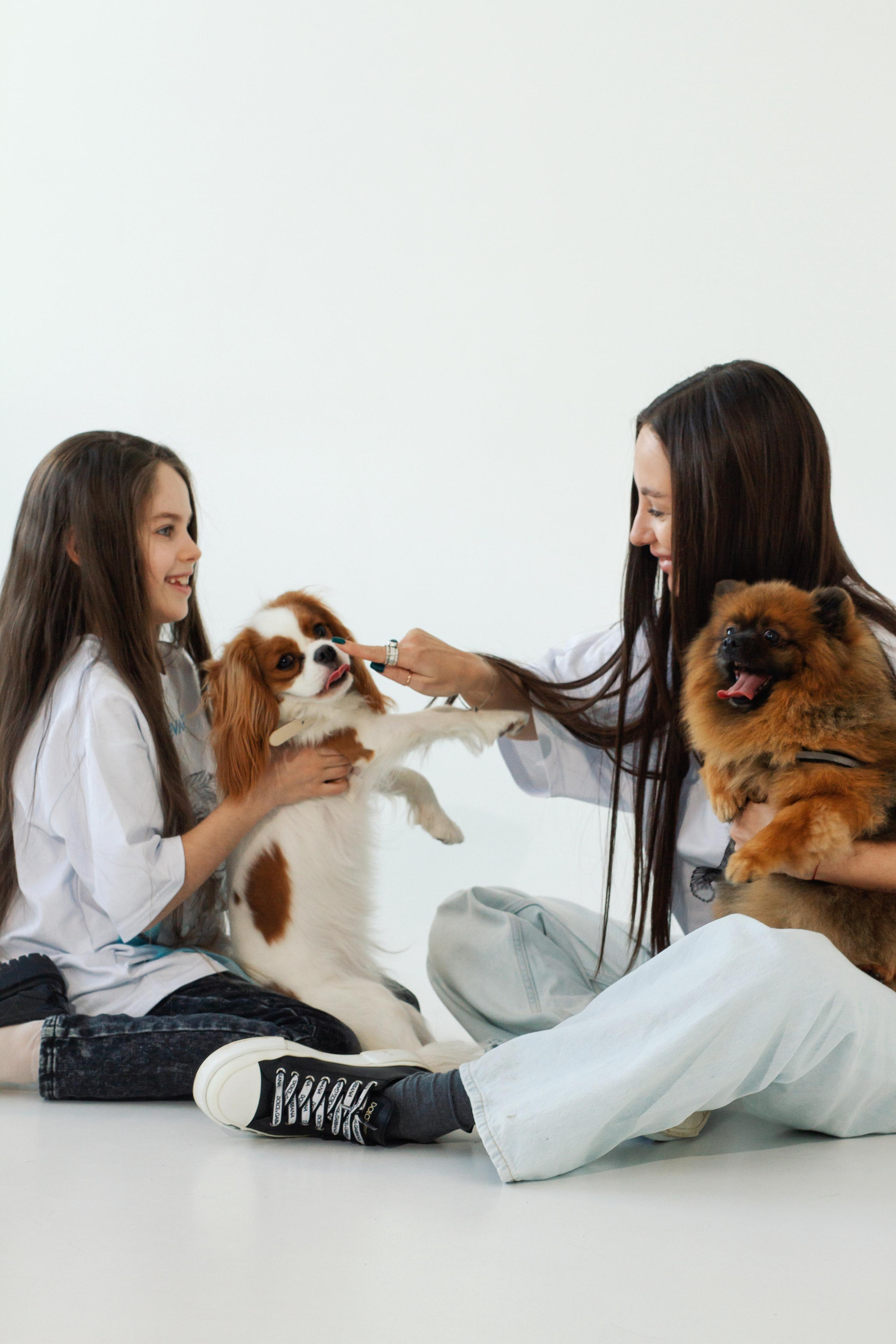 Благотворительный проект helpanimals. Фотограф в Москве Анастасия Курлович