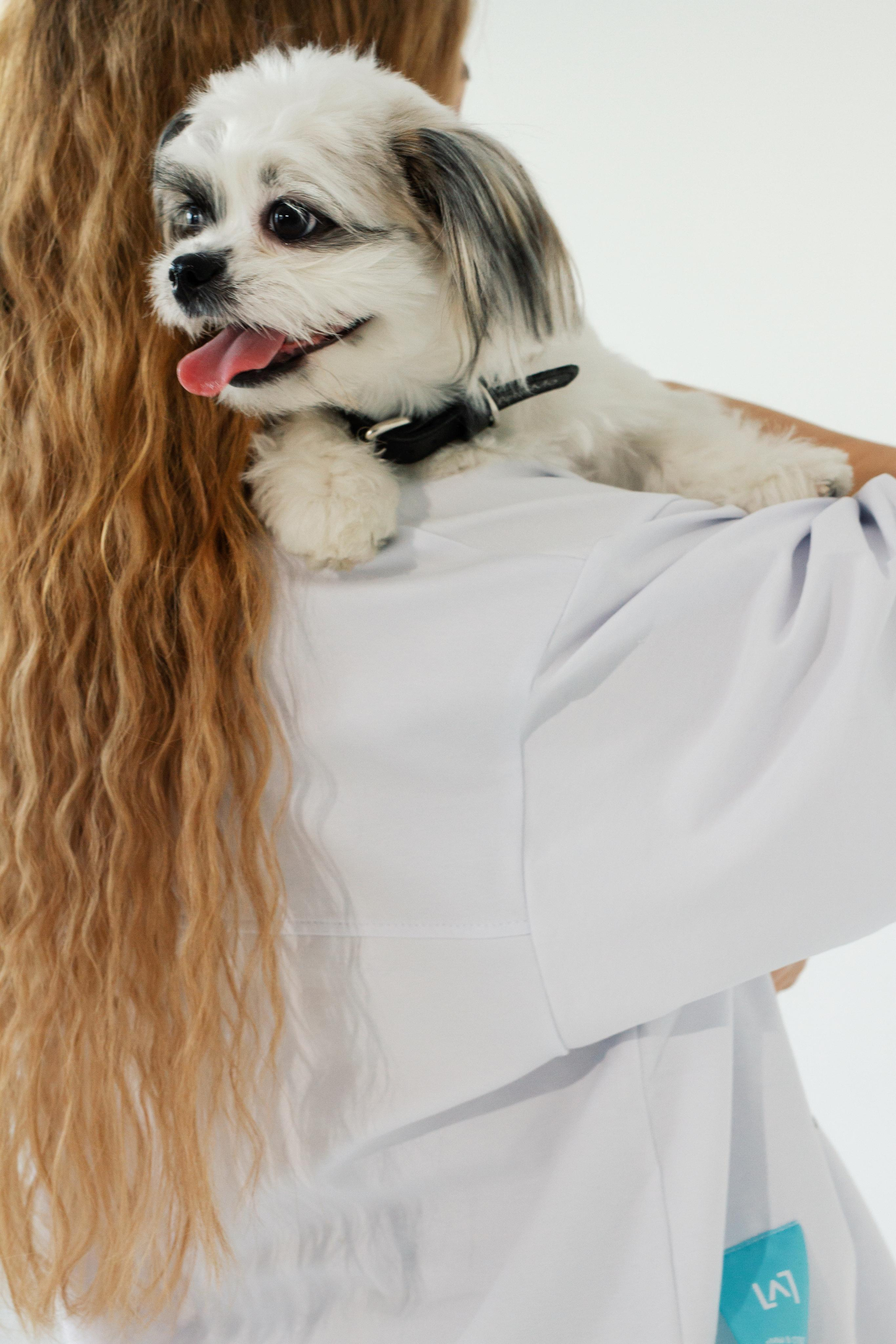 Благотворительный проект helpanimals. Фотограф в Москве Анастасия Курлович