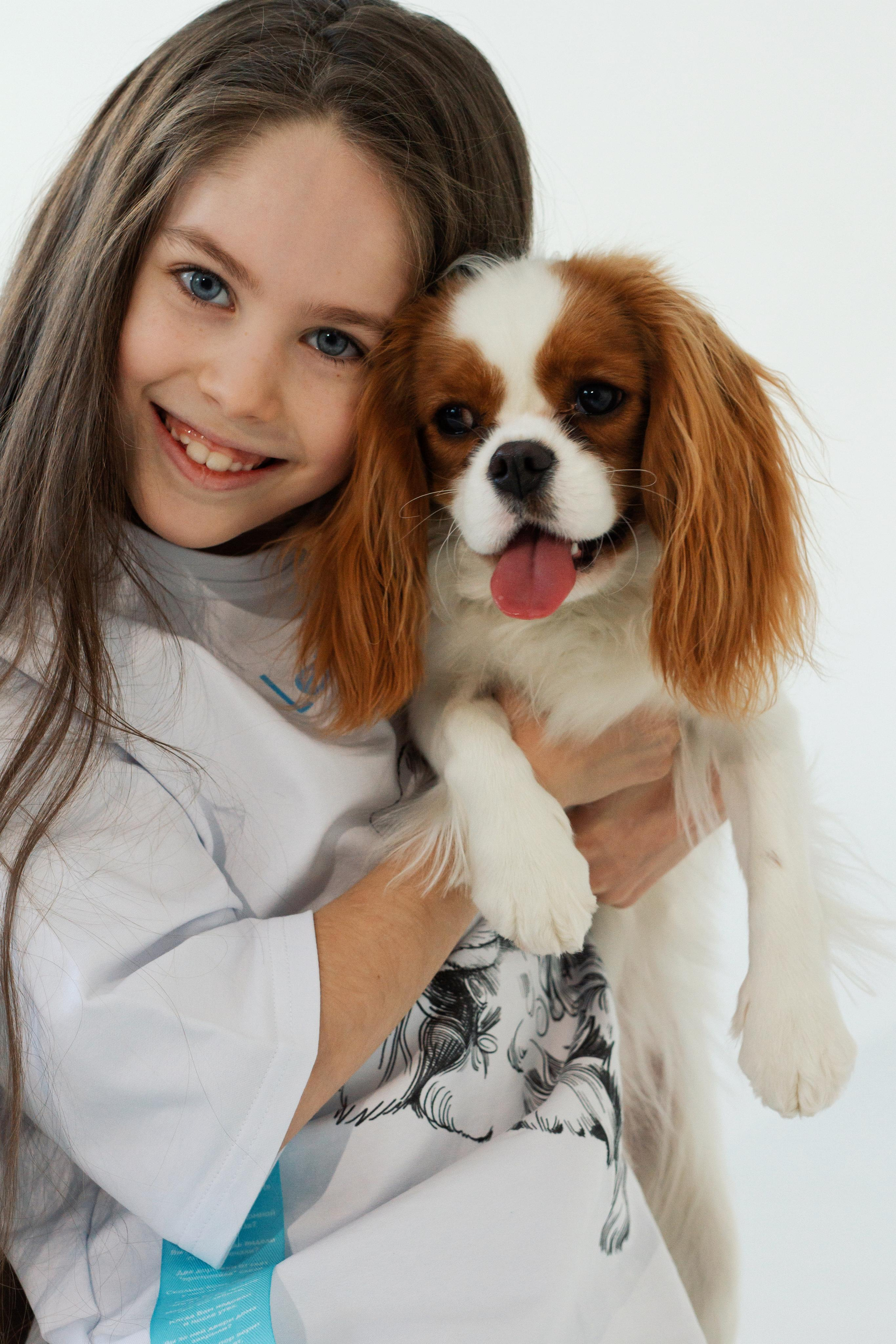 Благотворительный проект helpanimals