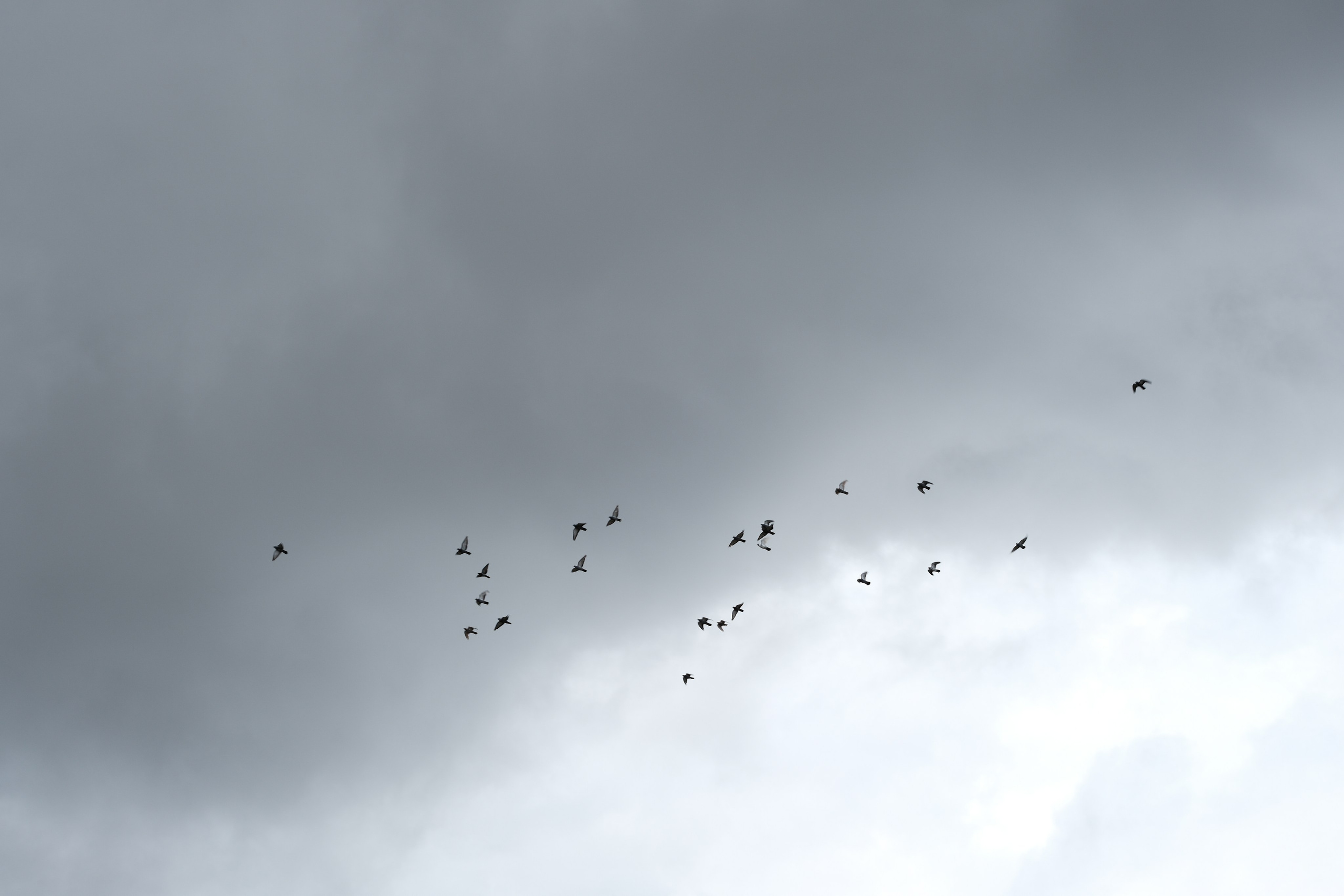 Дед. Кристина — портретный фотограф