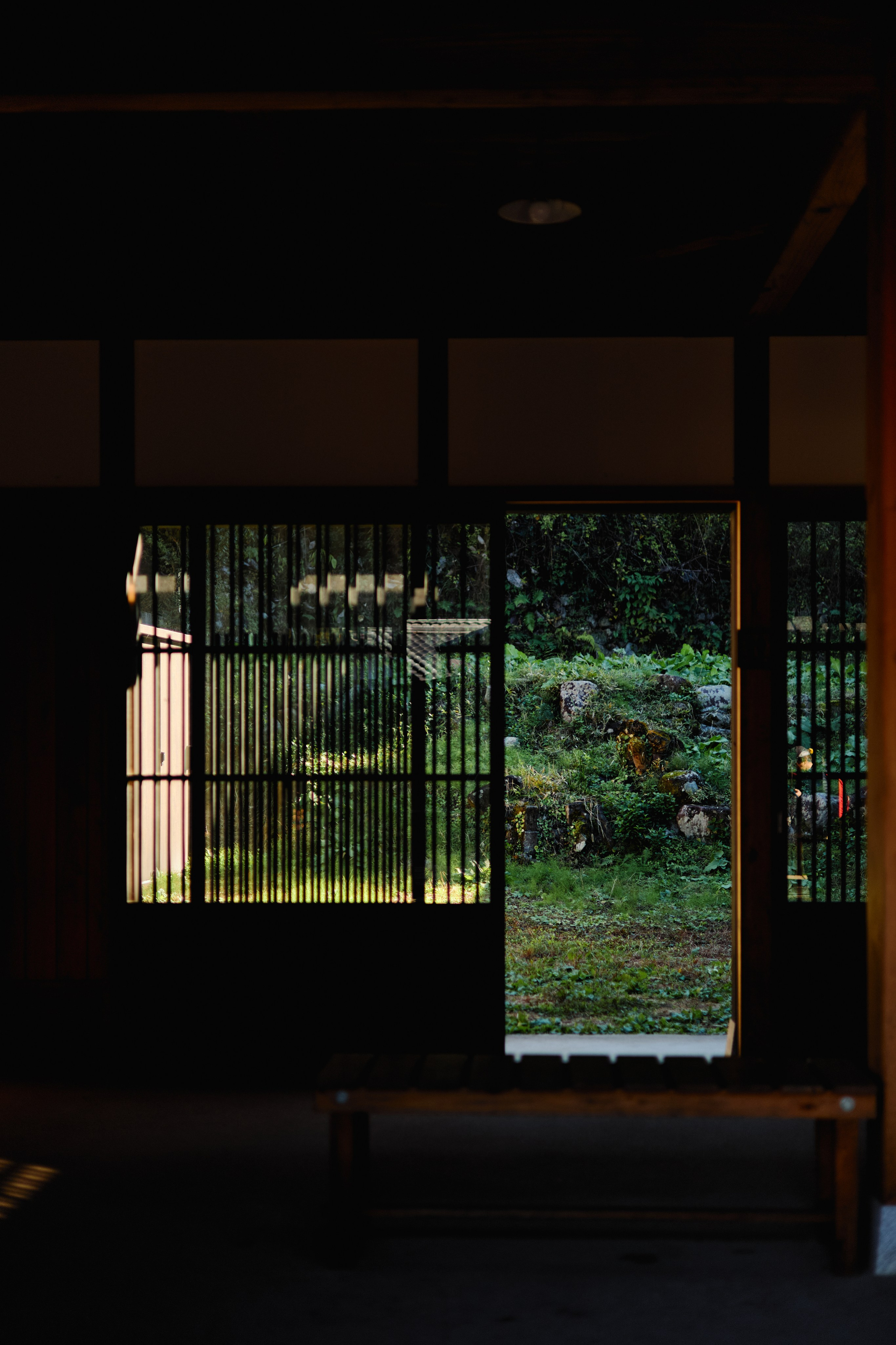 Япония. Профессиональный Фотограф во Владимире, в Москве и в Суздале — Полина Романычева