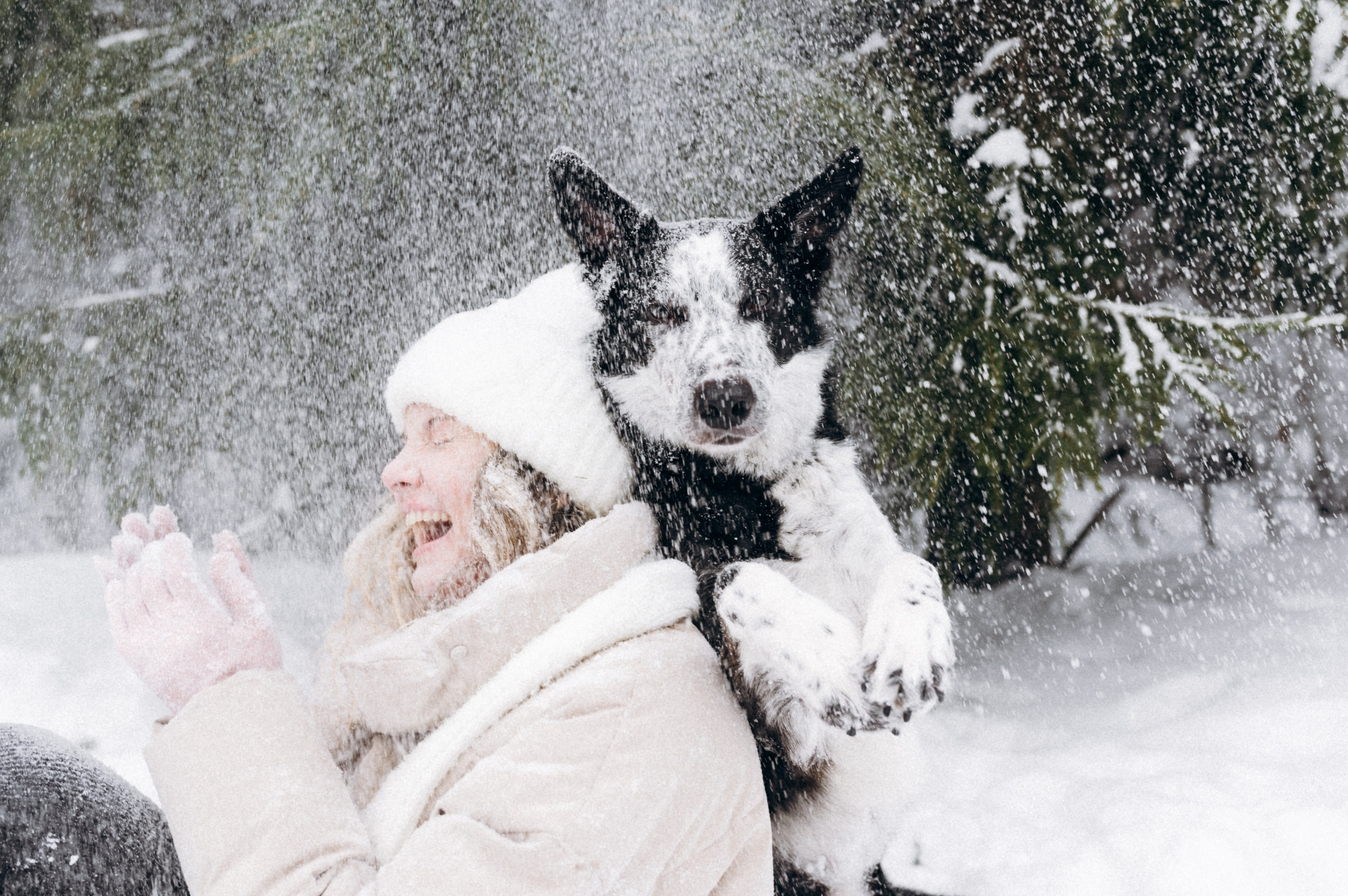 Аня и Милан. Фотограф анималист в Москве Ольга Агушева