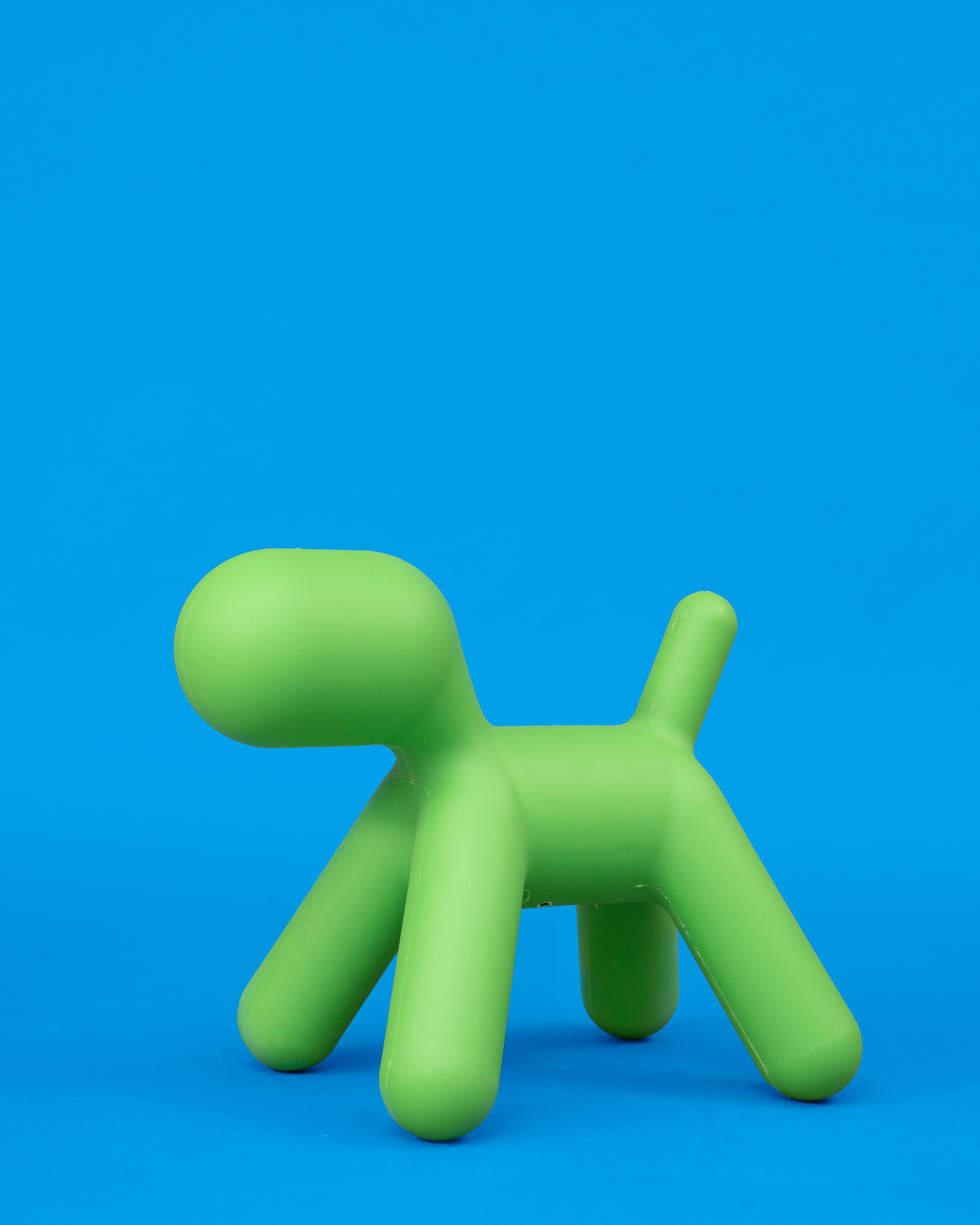 Предметка. Фотограф Миланазавр