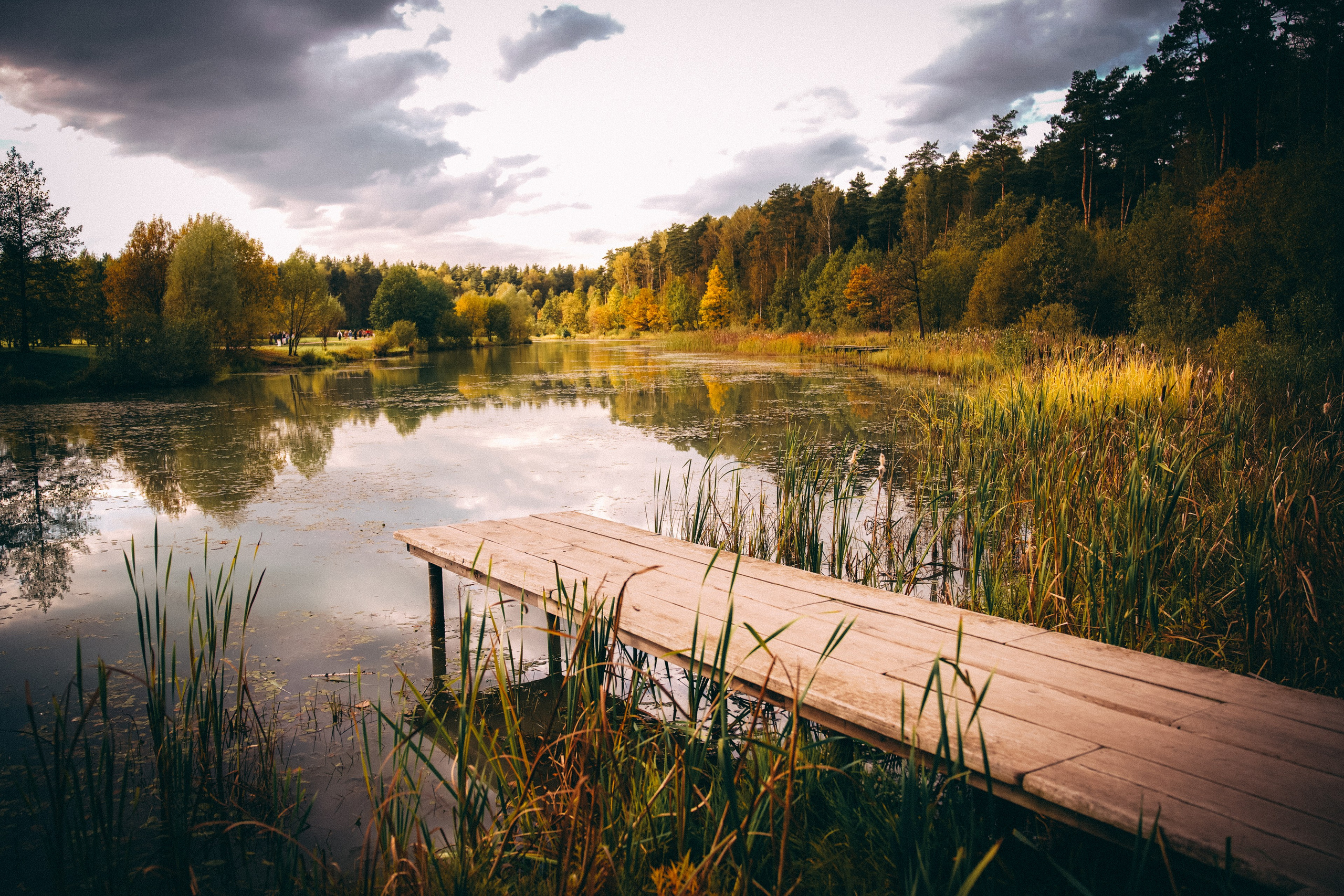 Осень 2025. Фотограф из Москвы — DASHA NOVA | Авторская фотография в разных жанрах