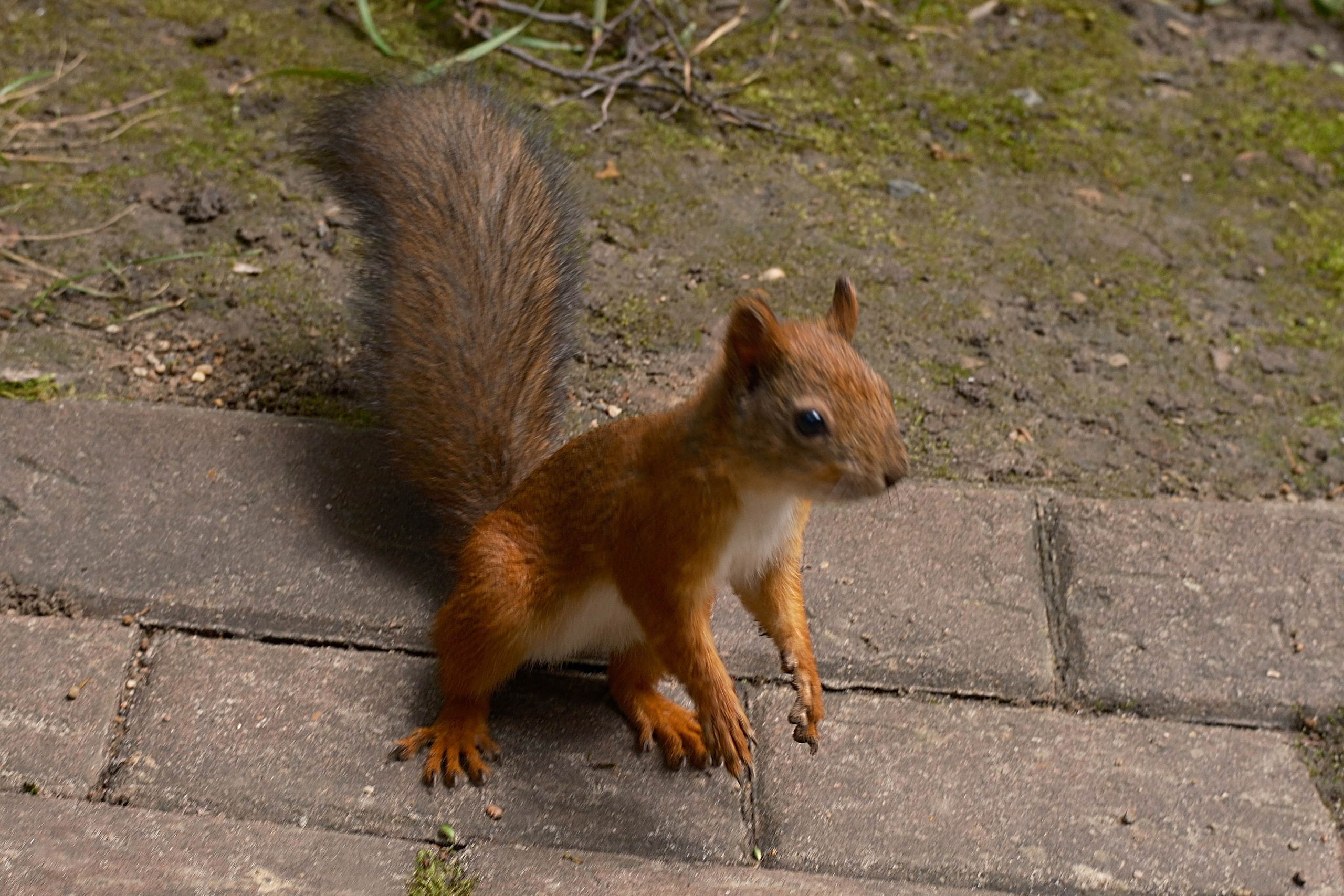 Царицыно 10.08.2025. Улица, люди, жизнь…