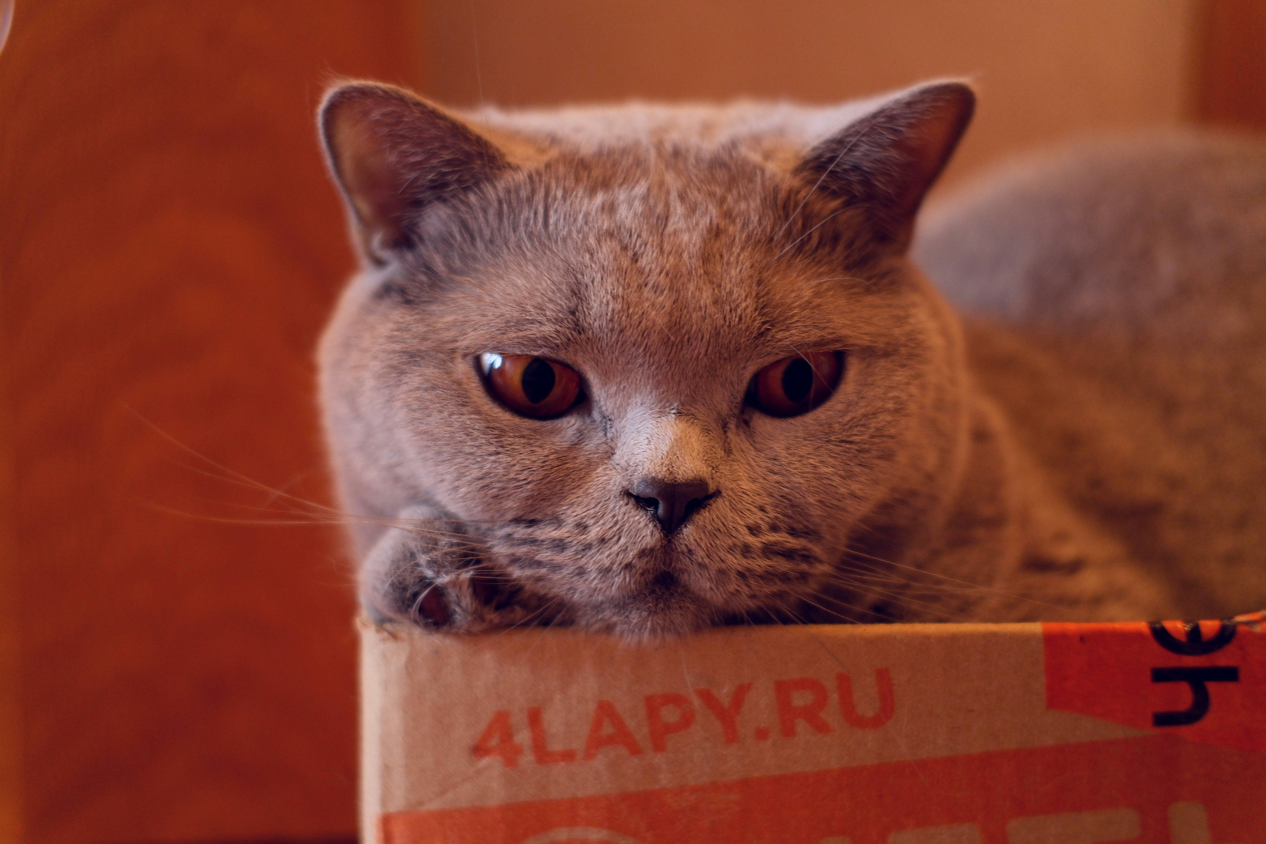 Сентябрь 2025. Улица, люди, жизнь…