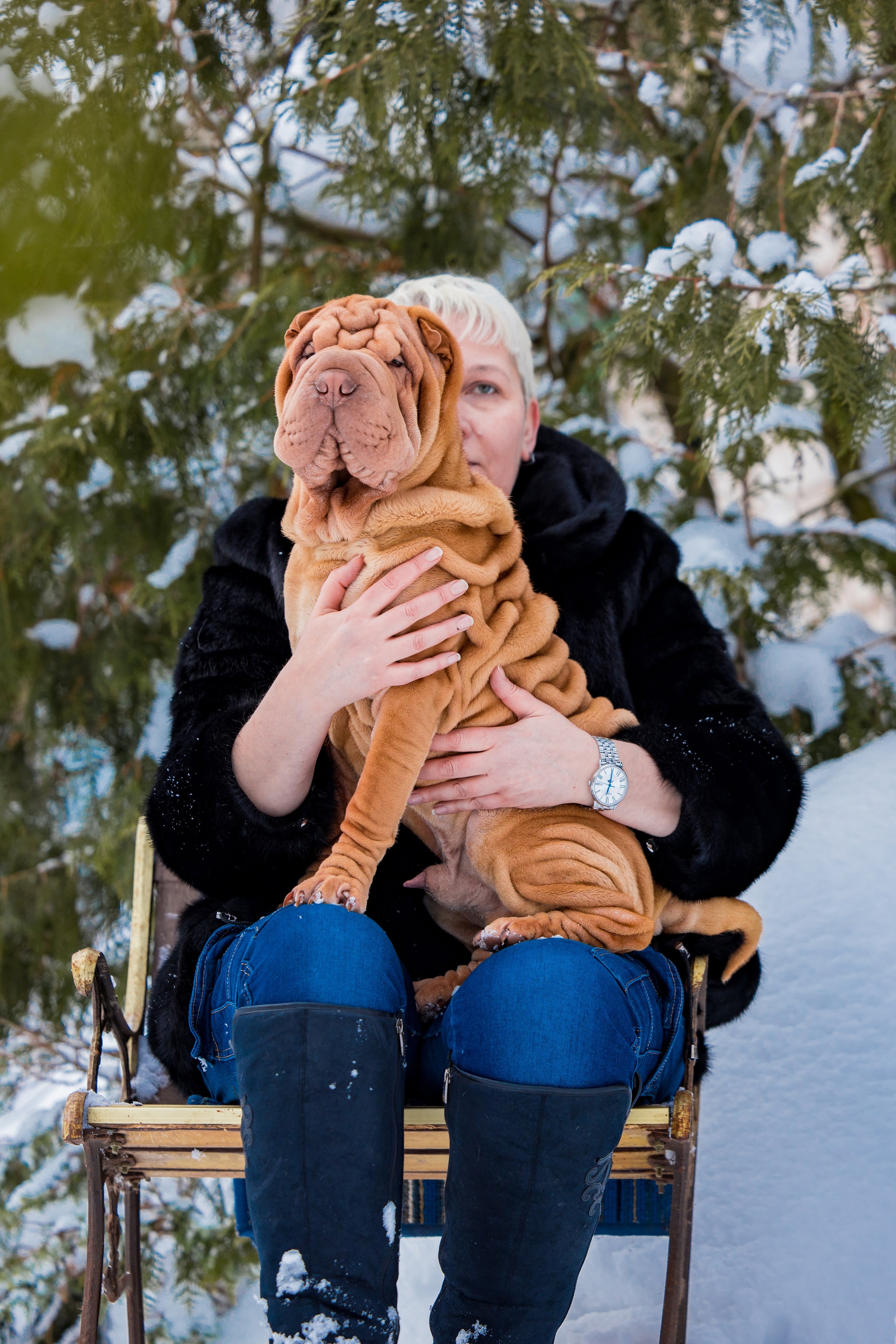 В гостях у шарпеев 16.01.2024. Фотограф-анималист Юлия Германика