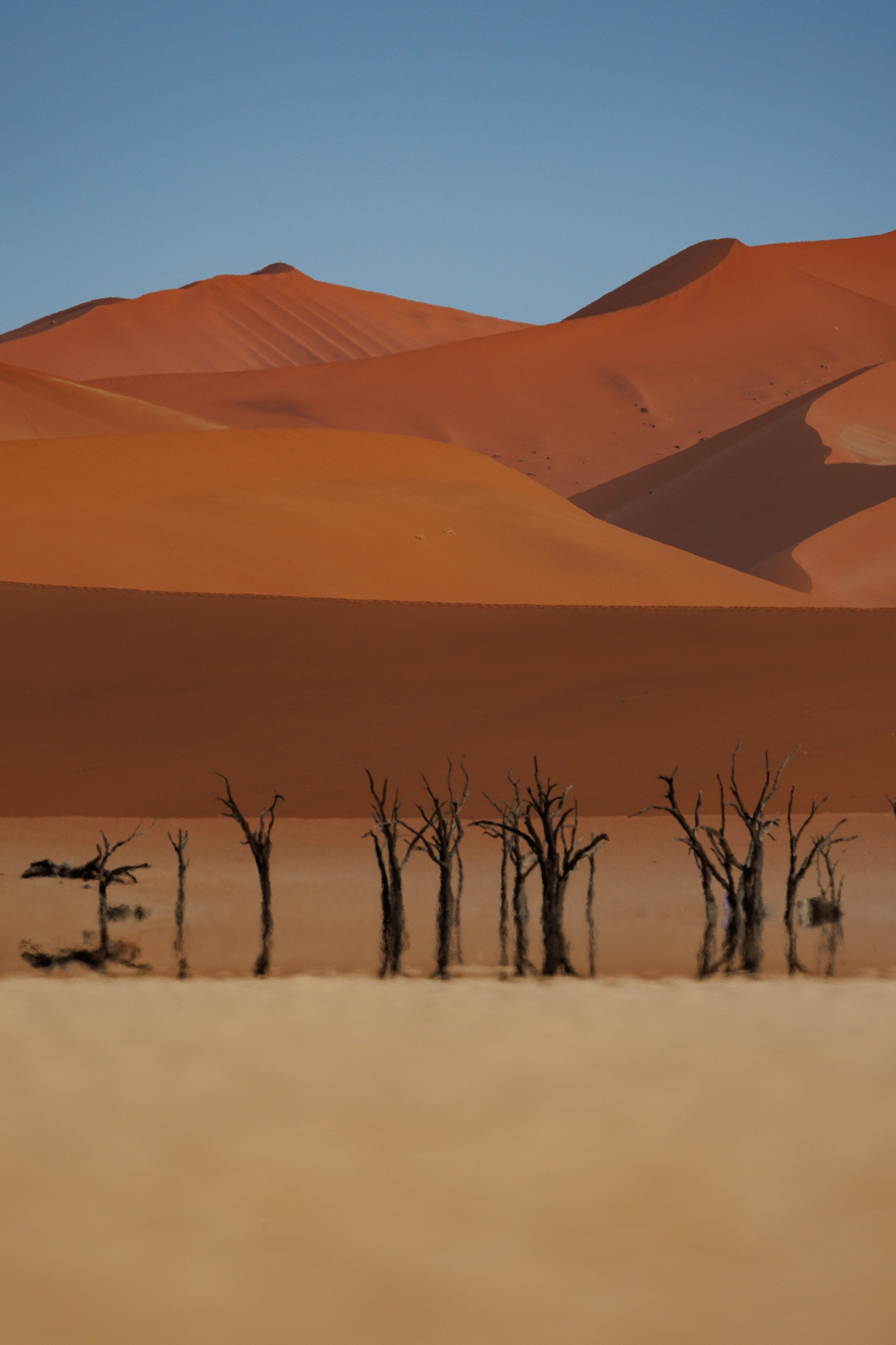 НАМИБИЯ. Роадтрип