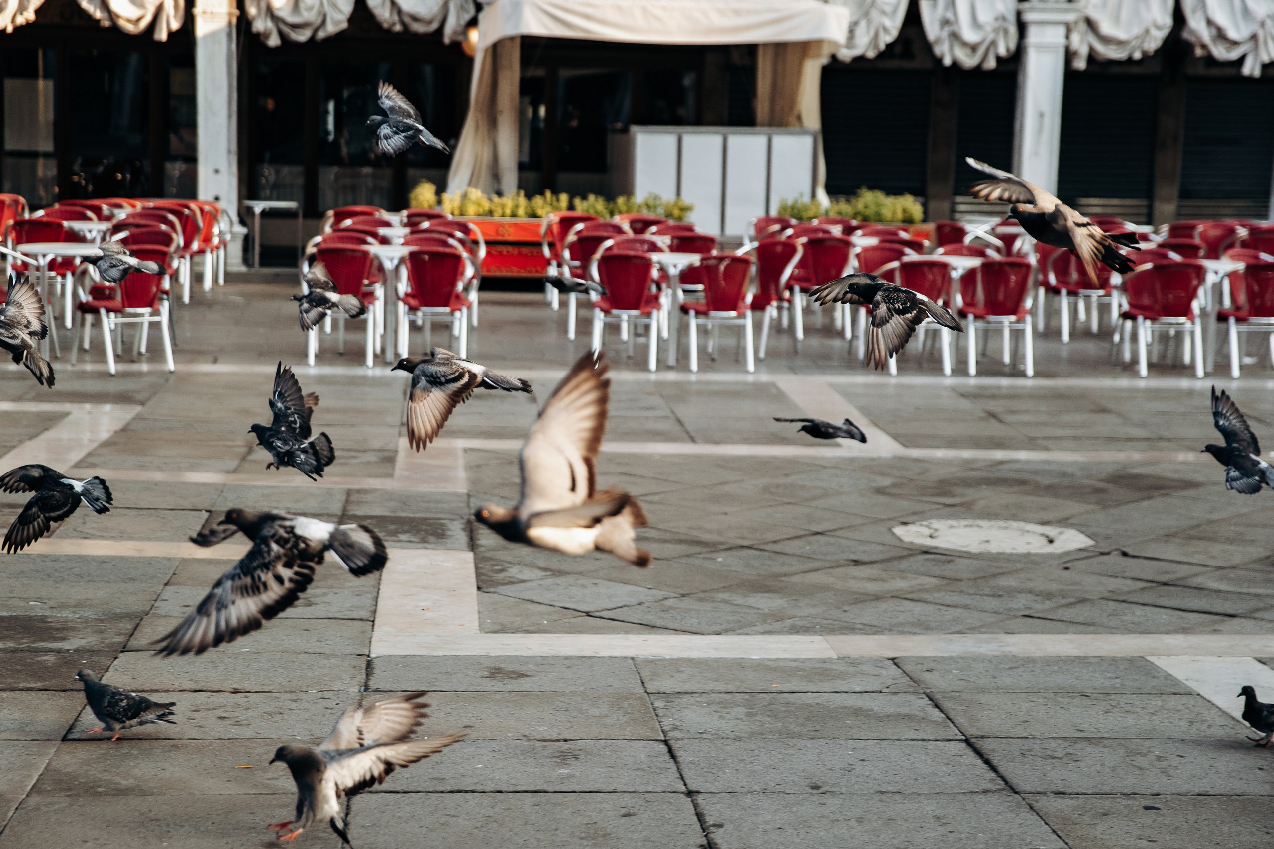 Venice, Italy. Свадебный и семейный фотограф Краснодар, Ростов, Сочи Ульяна Федорченк